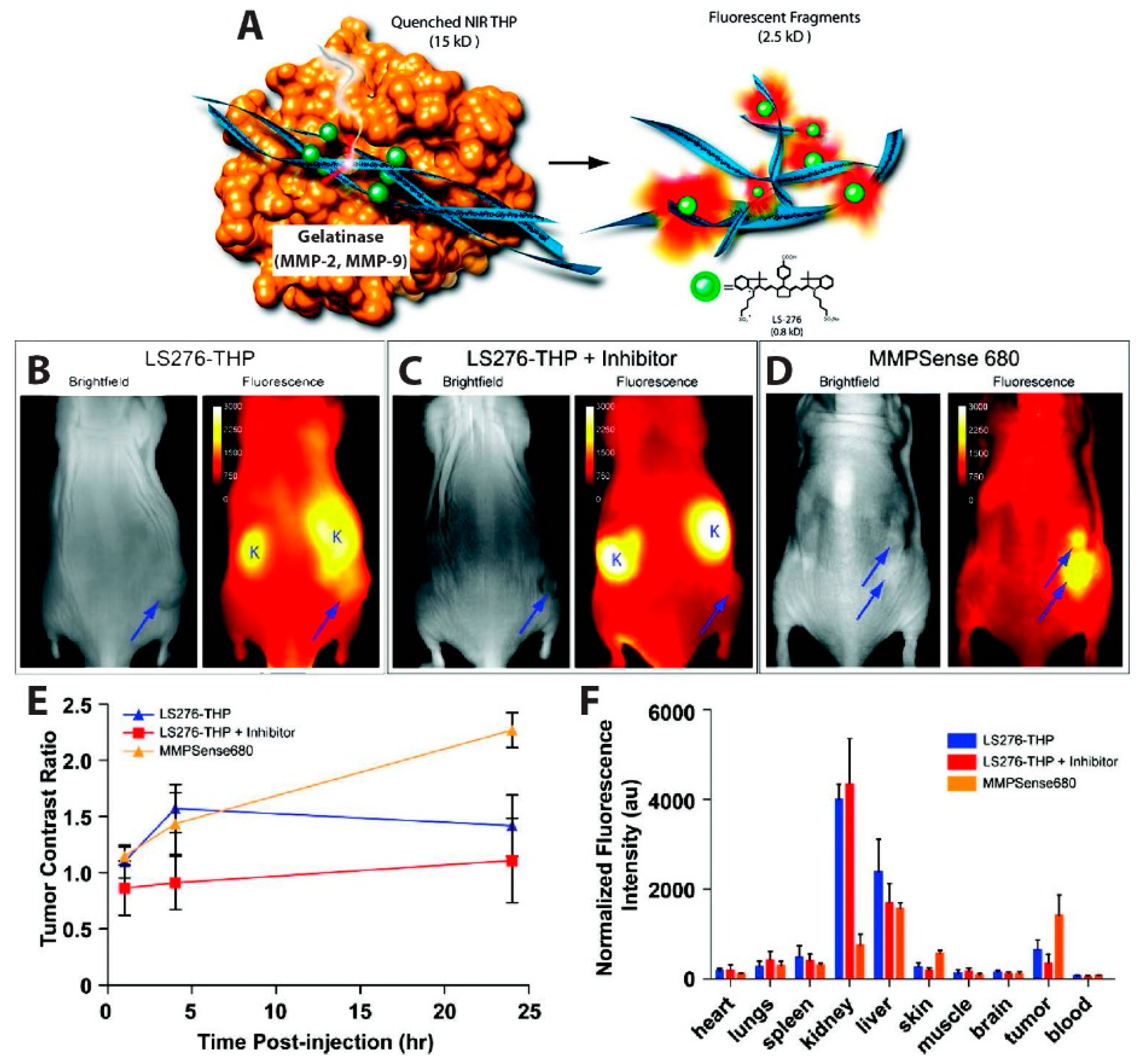 Biosensors 09 00076 g005