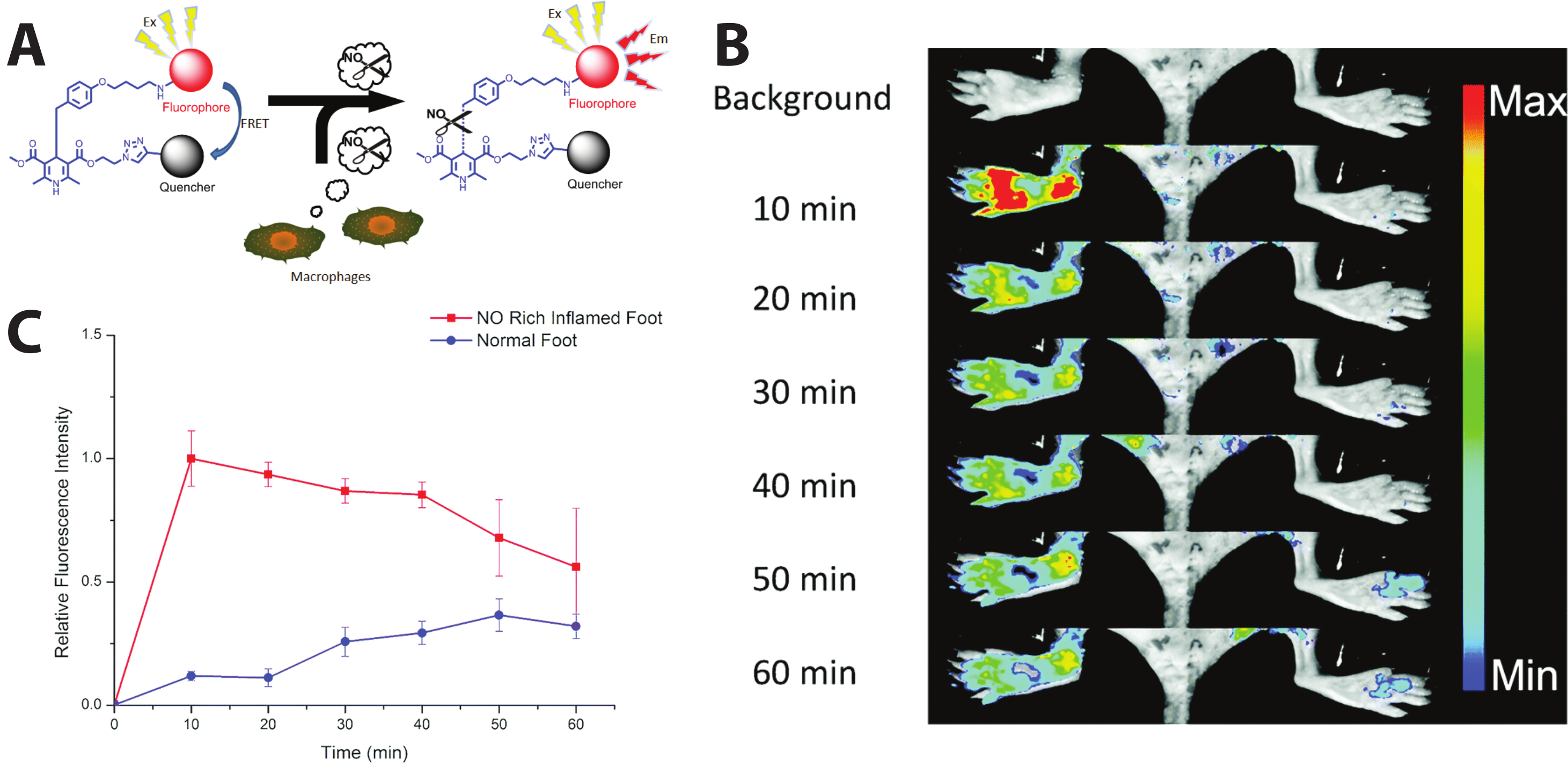 Biosensors 09 00076 g006