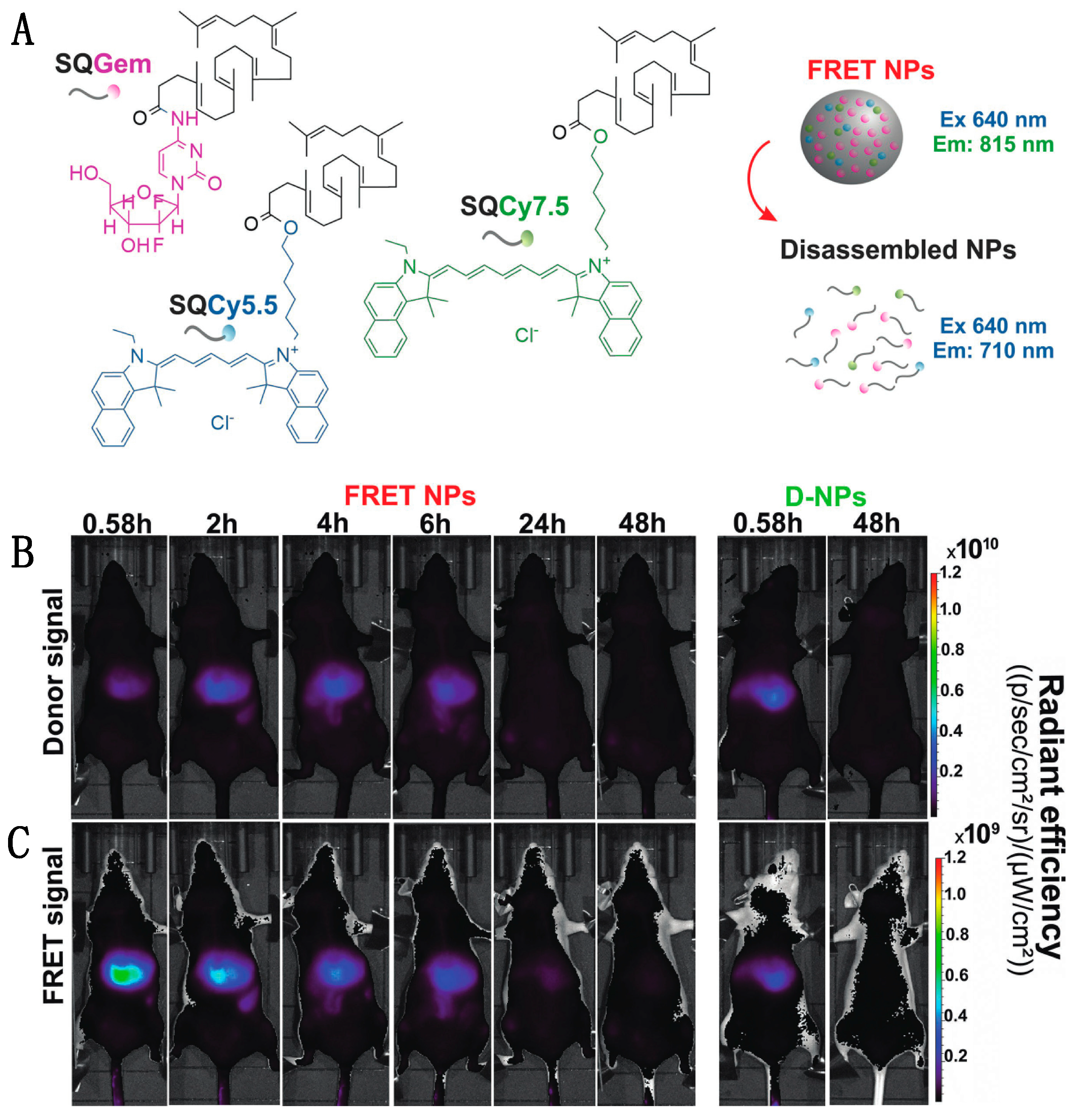 Biosensors 09 00076 g007