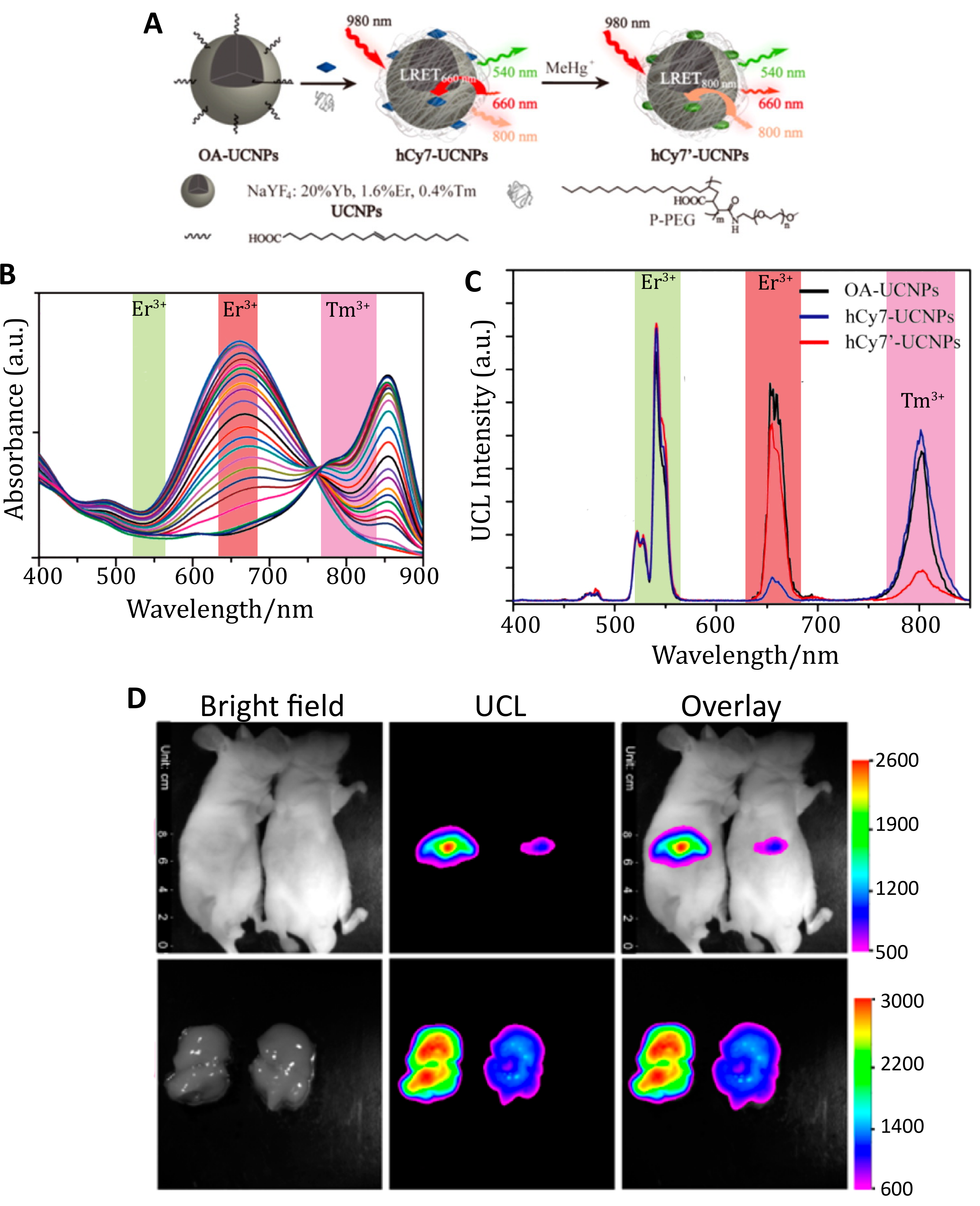 Biosensors 09 00076 g009