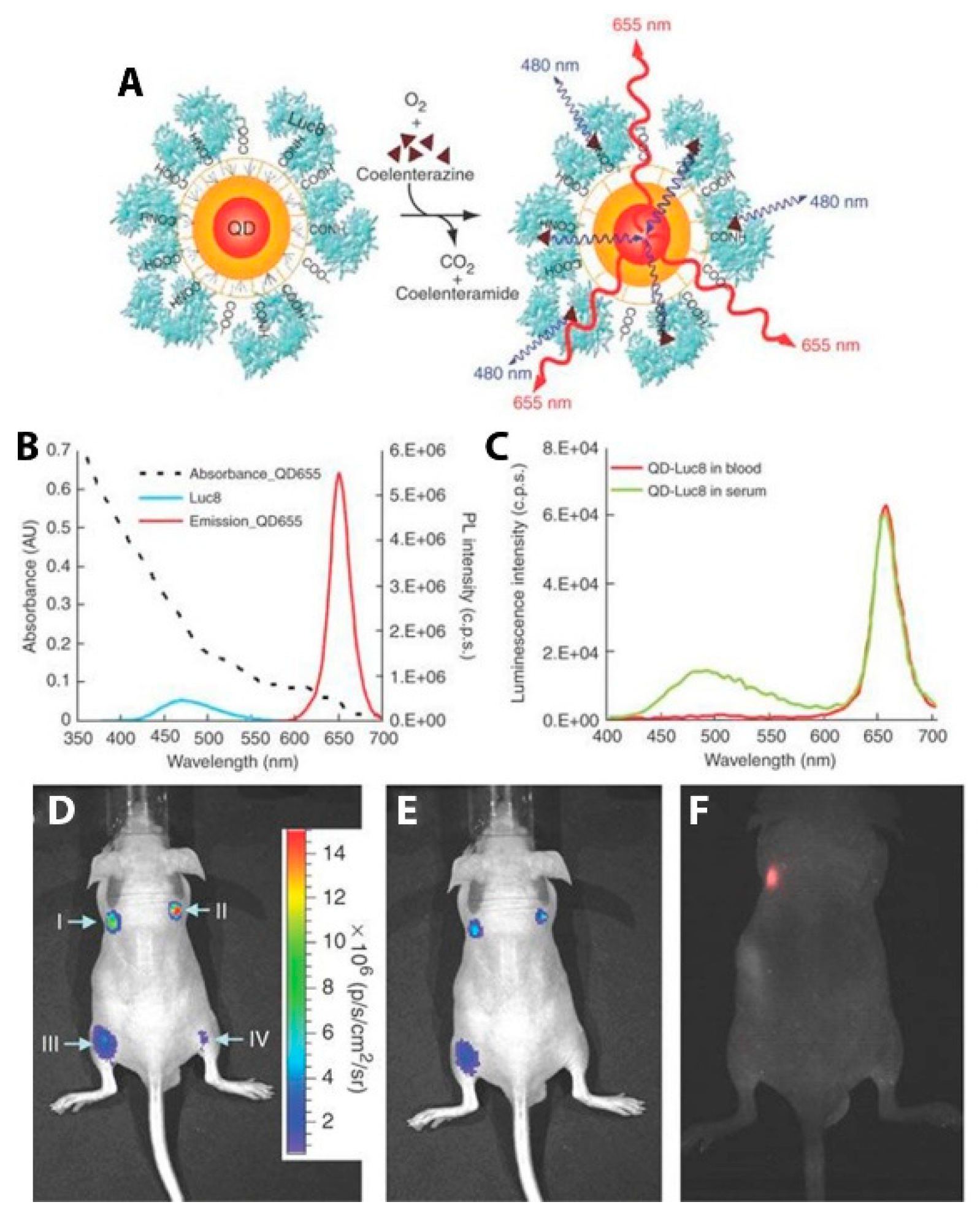 Biosensors 09 00076 g012