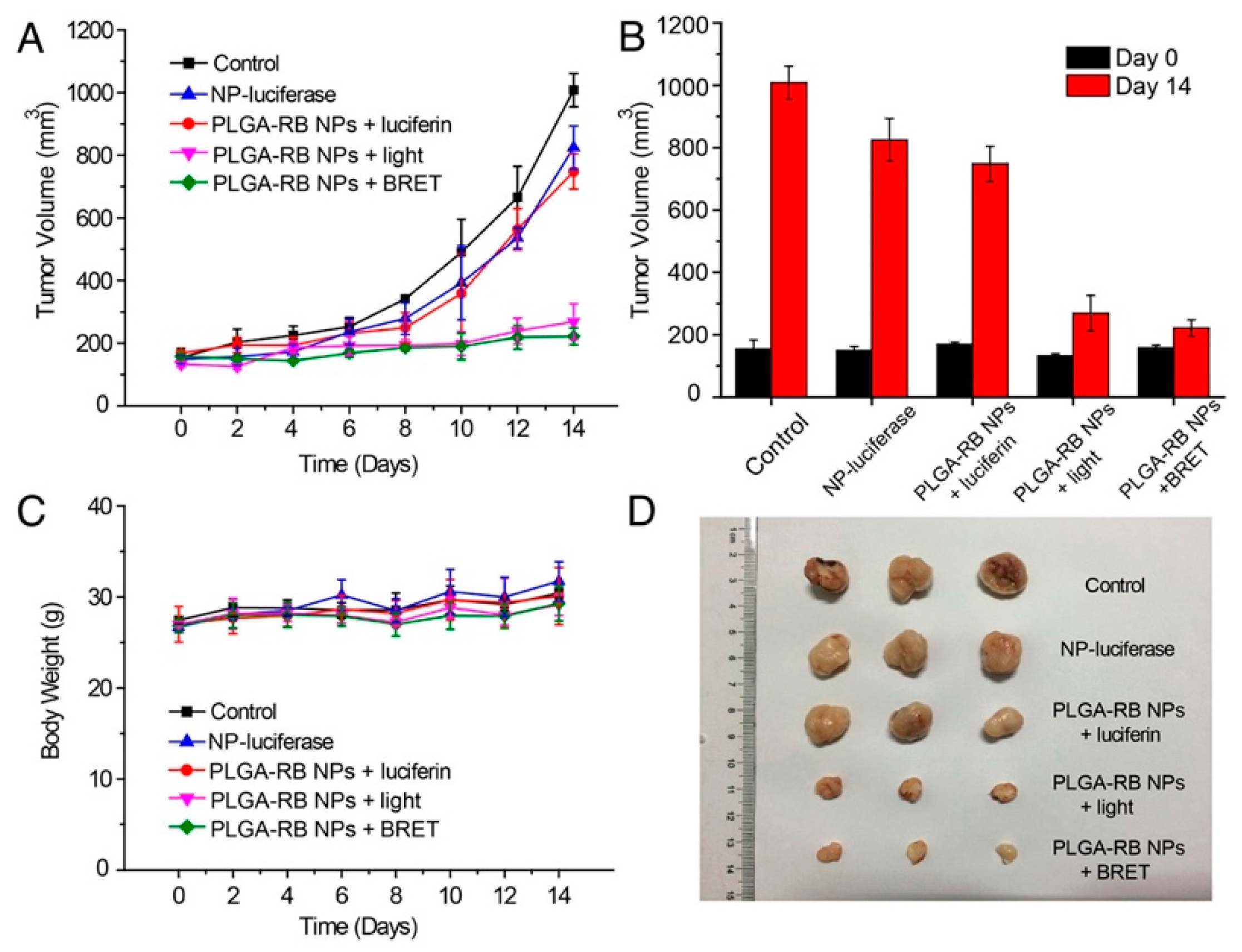 Biosensors 09 00076 g013