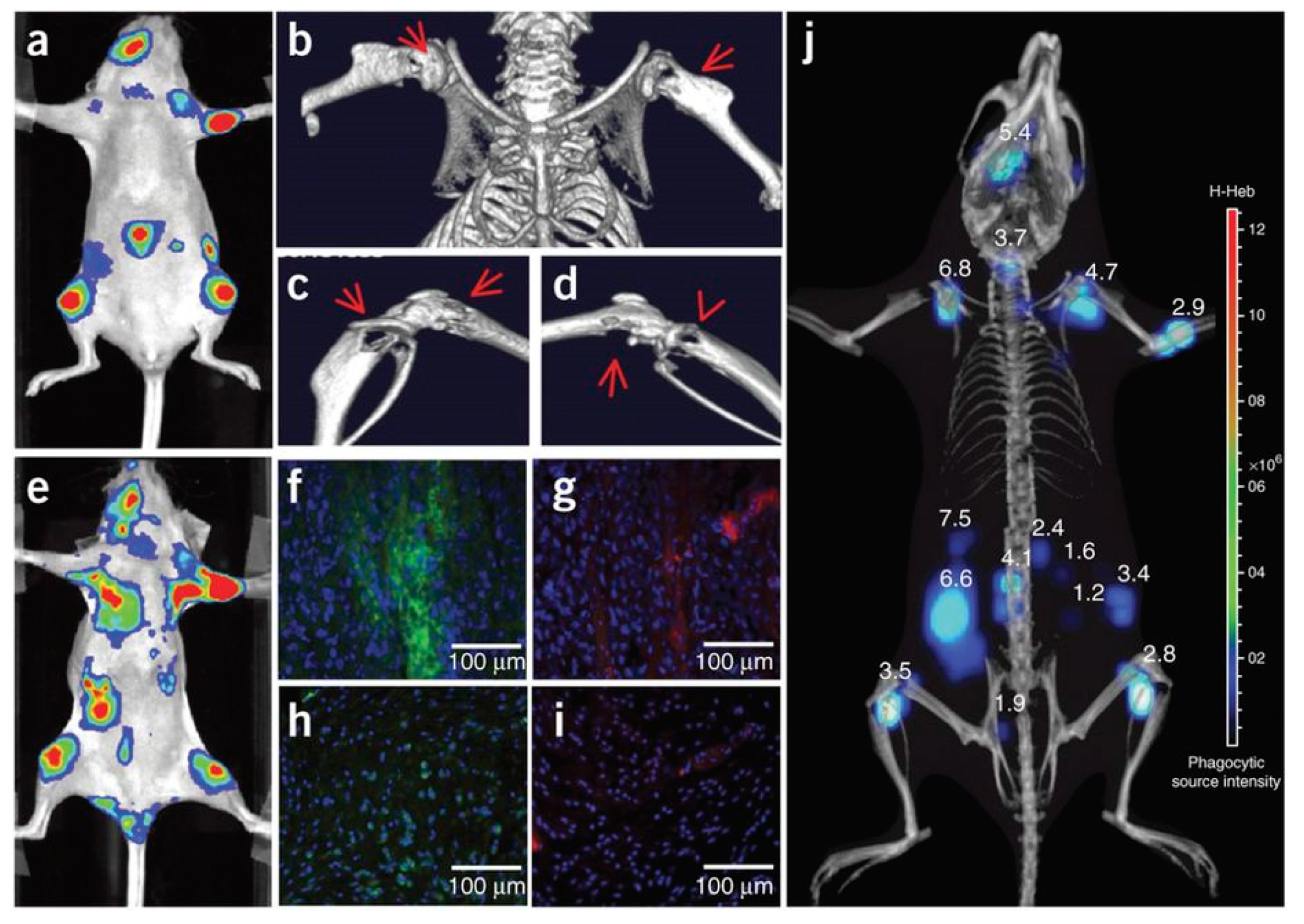Biosensors 09 00076 g014