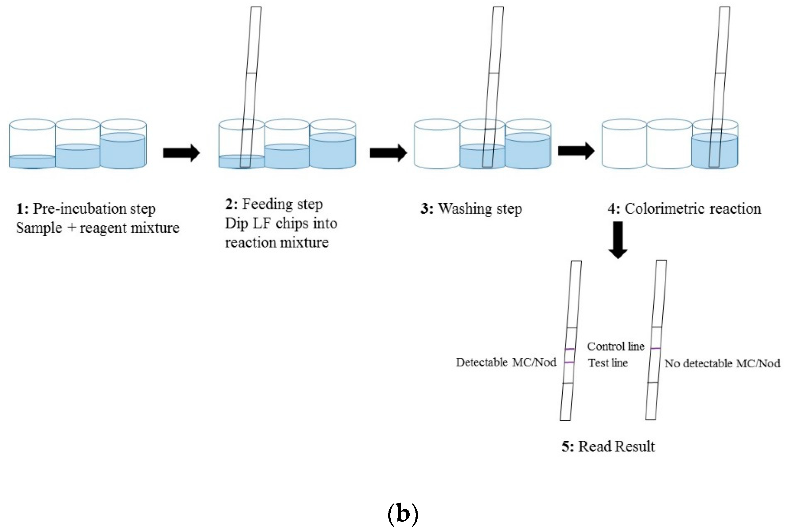 Biosensors 09 00079 g001b