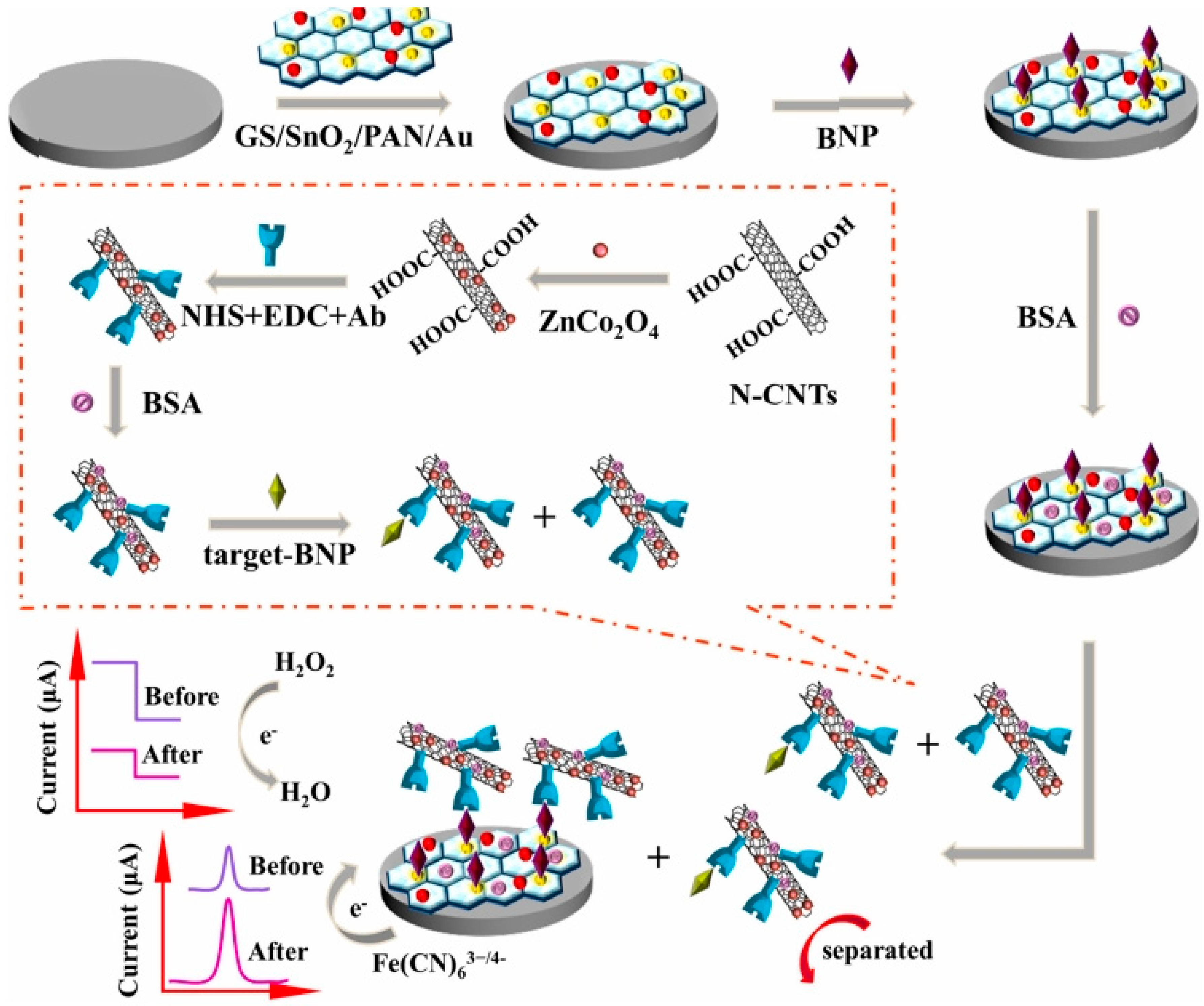 Biosensors 09 00086 g003