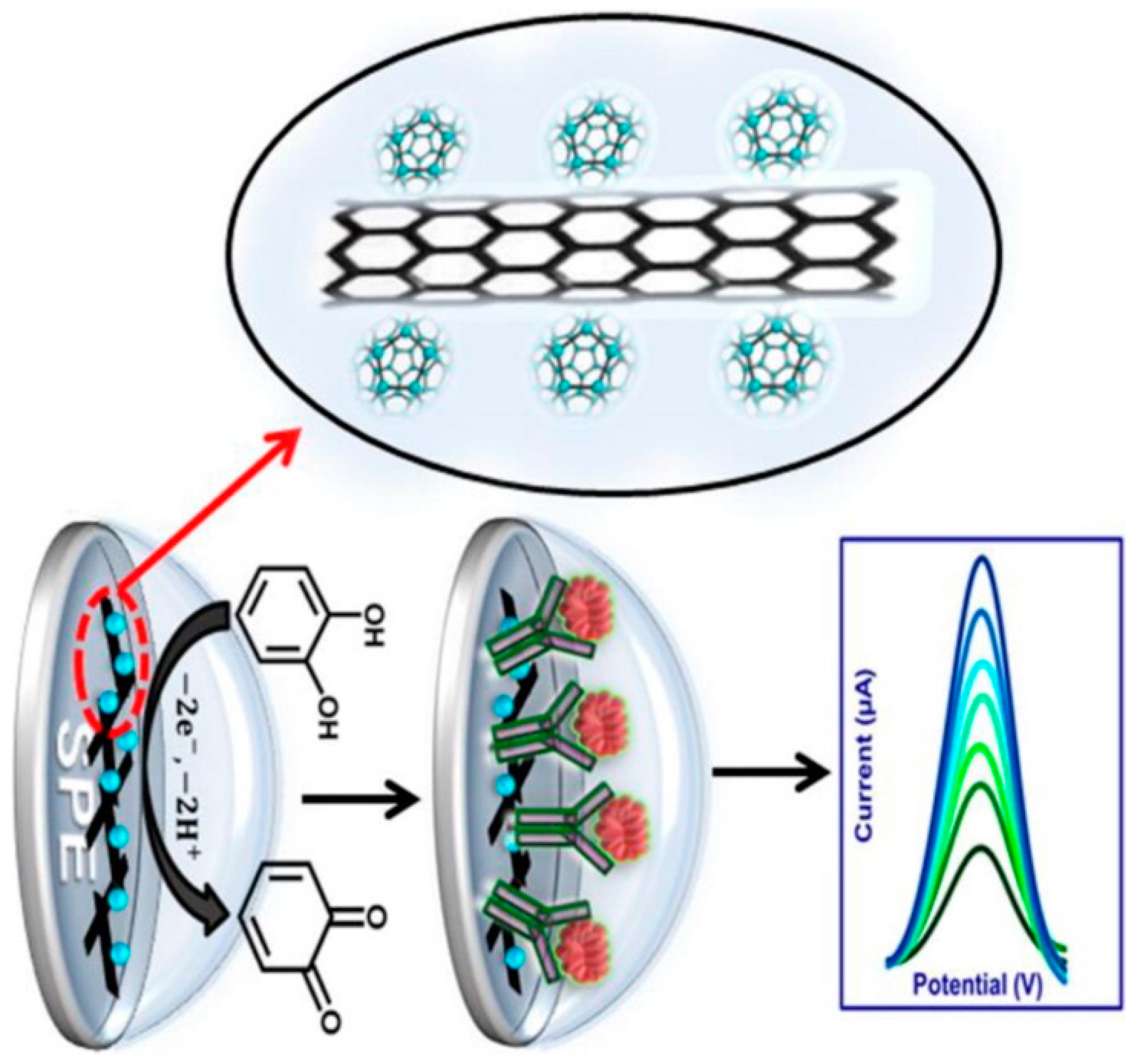 Biosensors 09 00086 g004