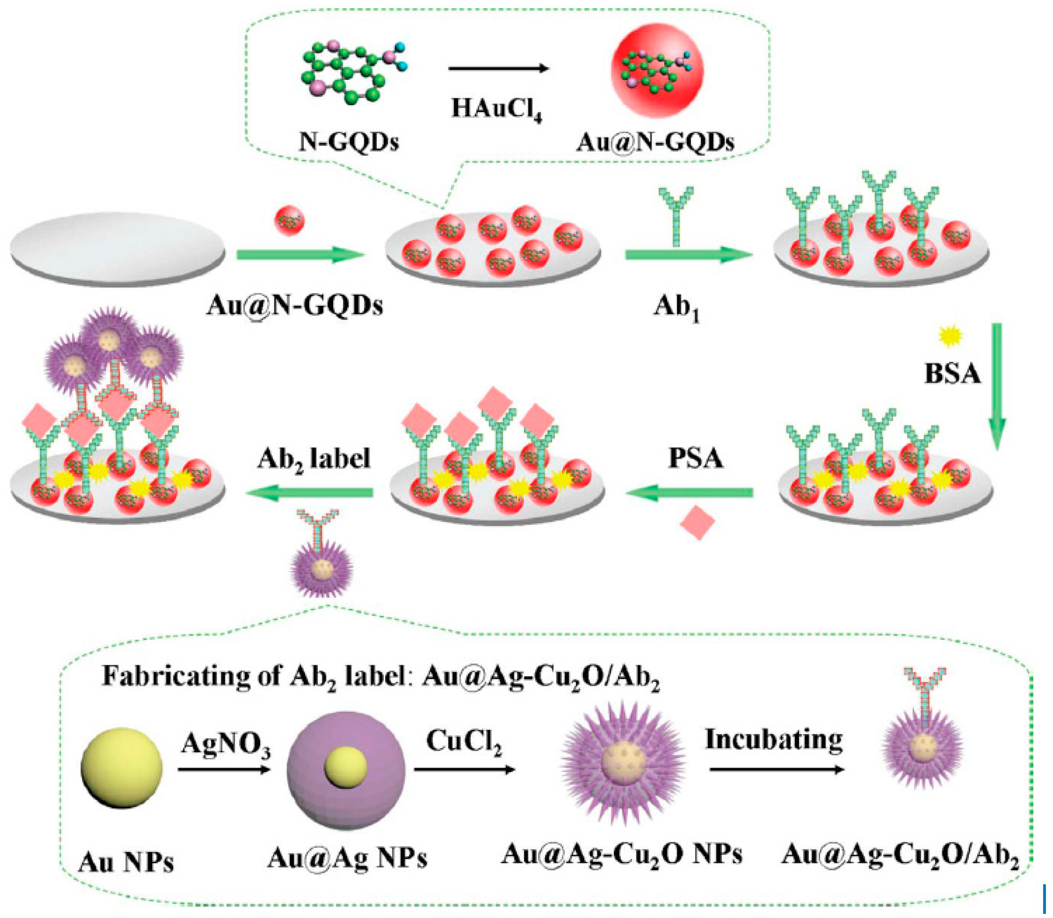 Biosensors 09 00086 g005