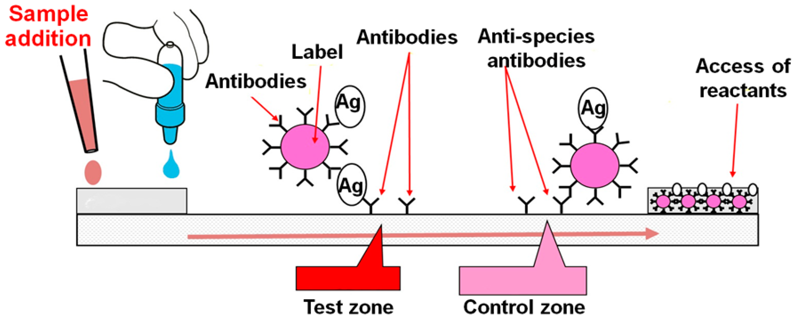 Biosensors 09 00089 g001