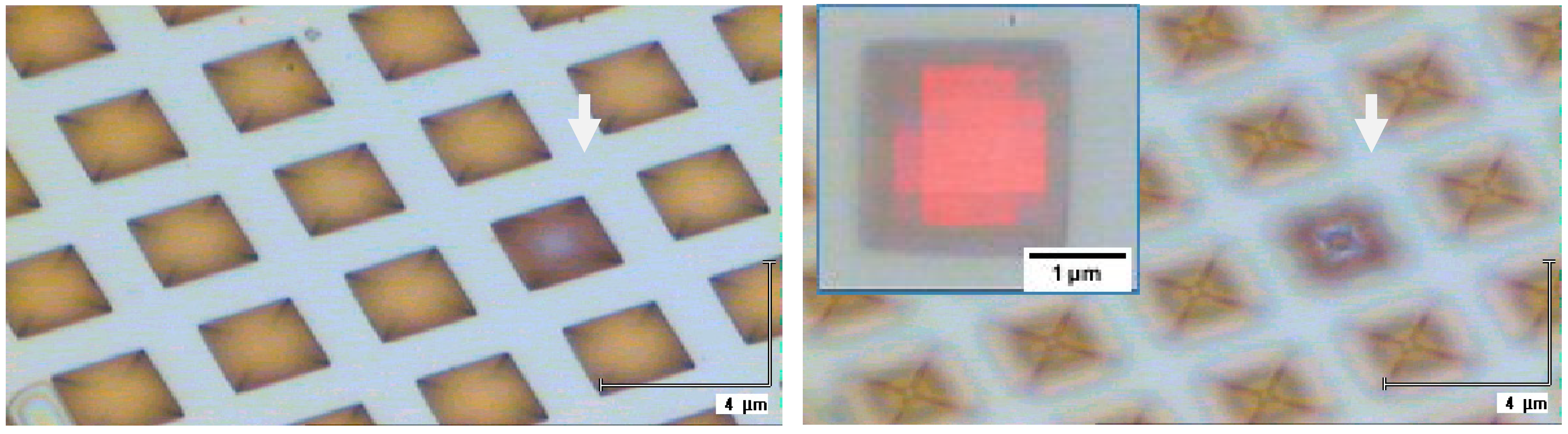 Biosensors 09 00093 g008 Biosensors 09 00093 g008