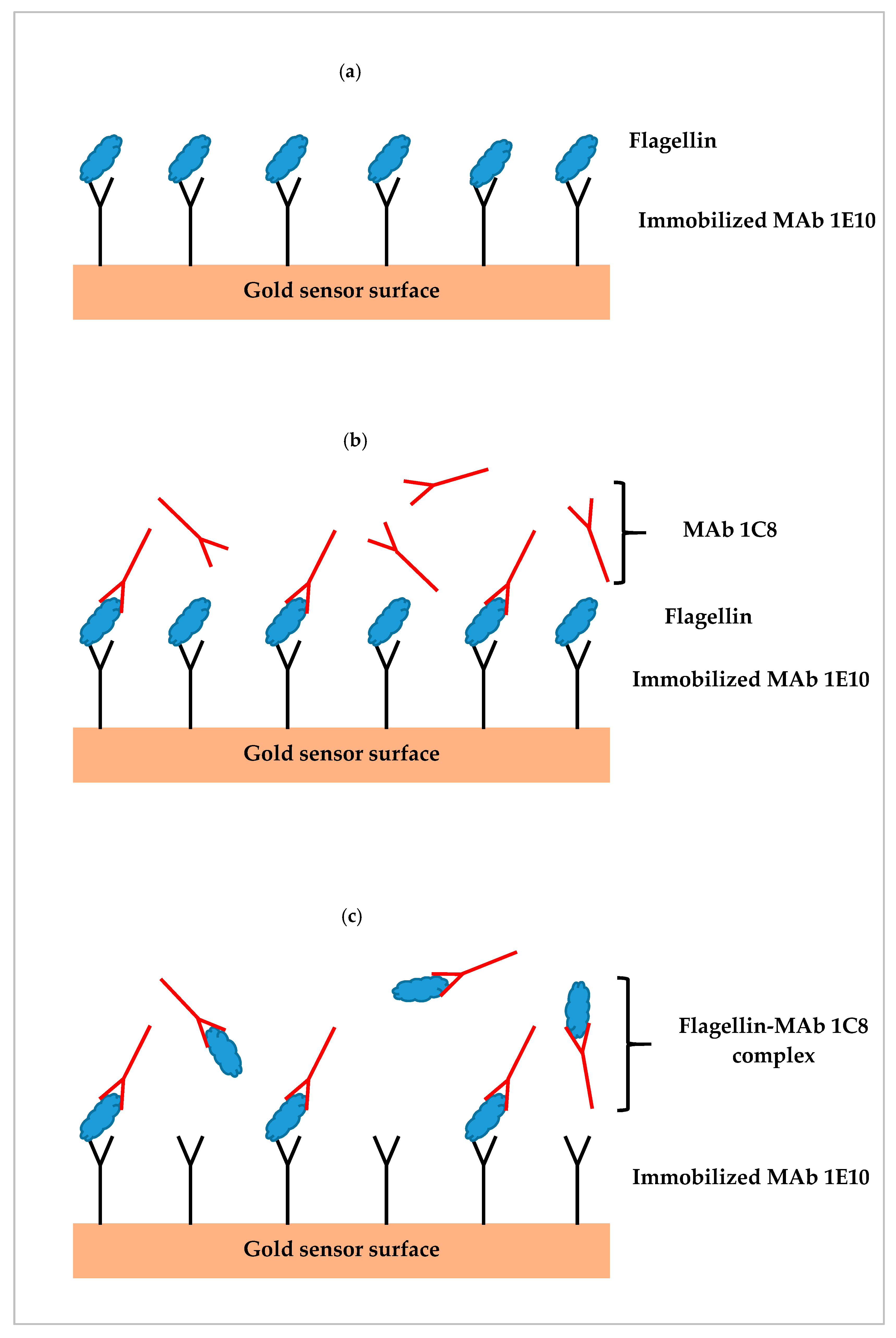 Biosensors 09 00094 g001 Biosensors 09 00094 g001