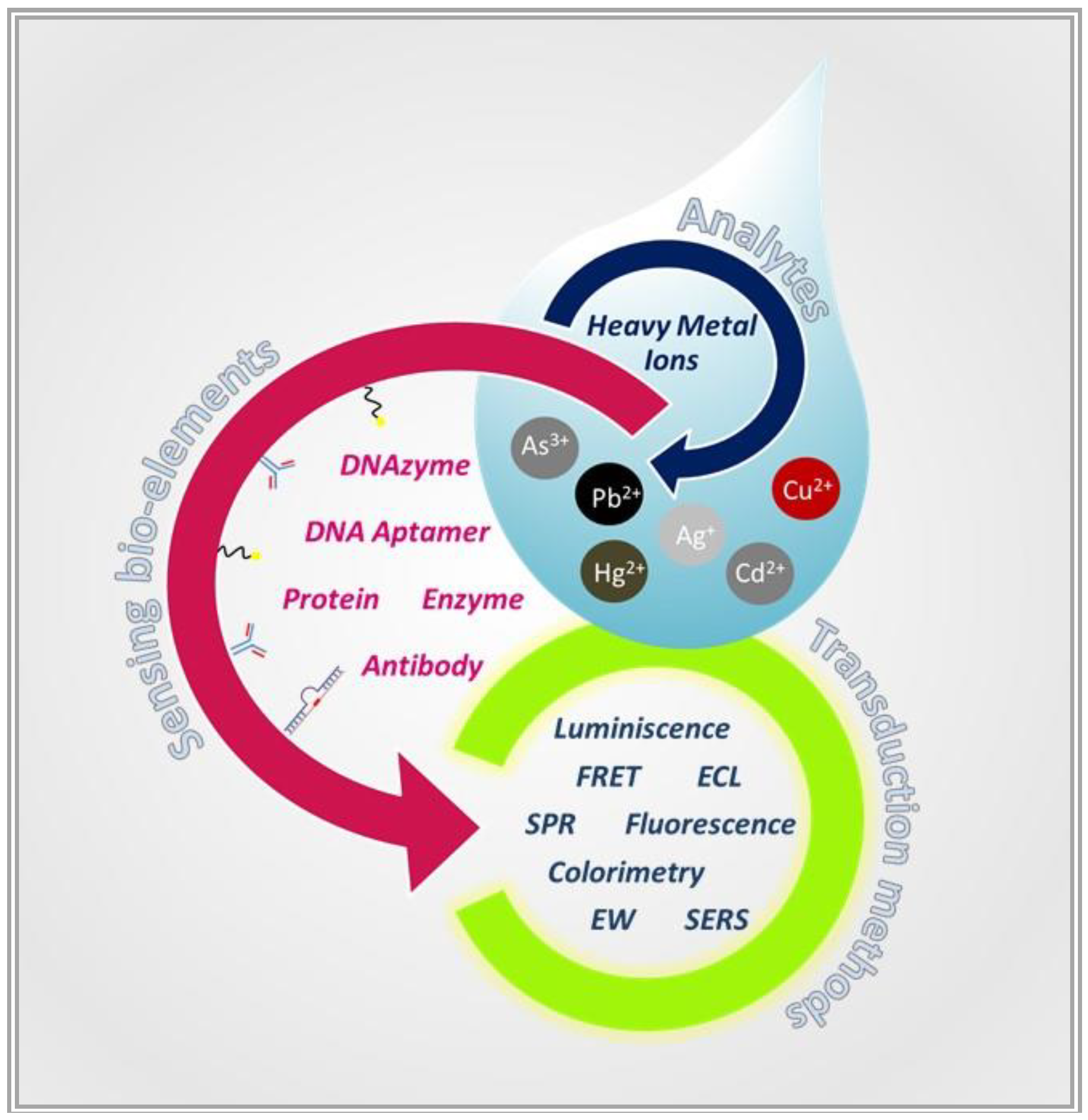 Biosensors 09 00096 g001