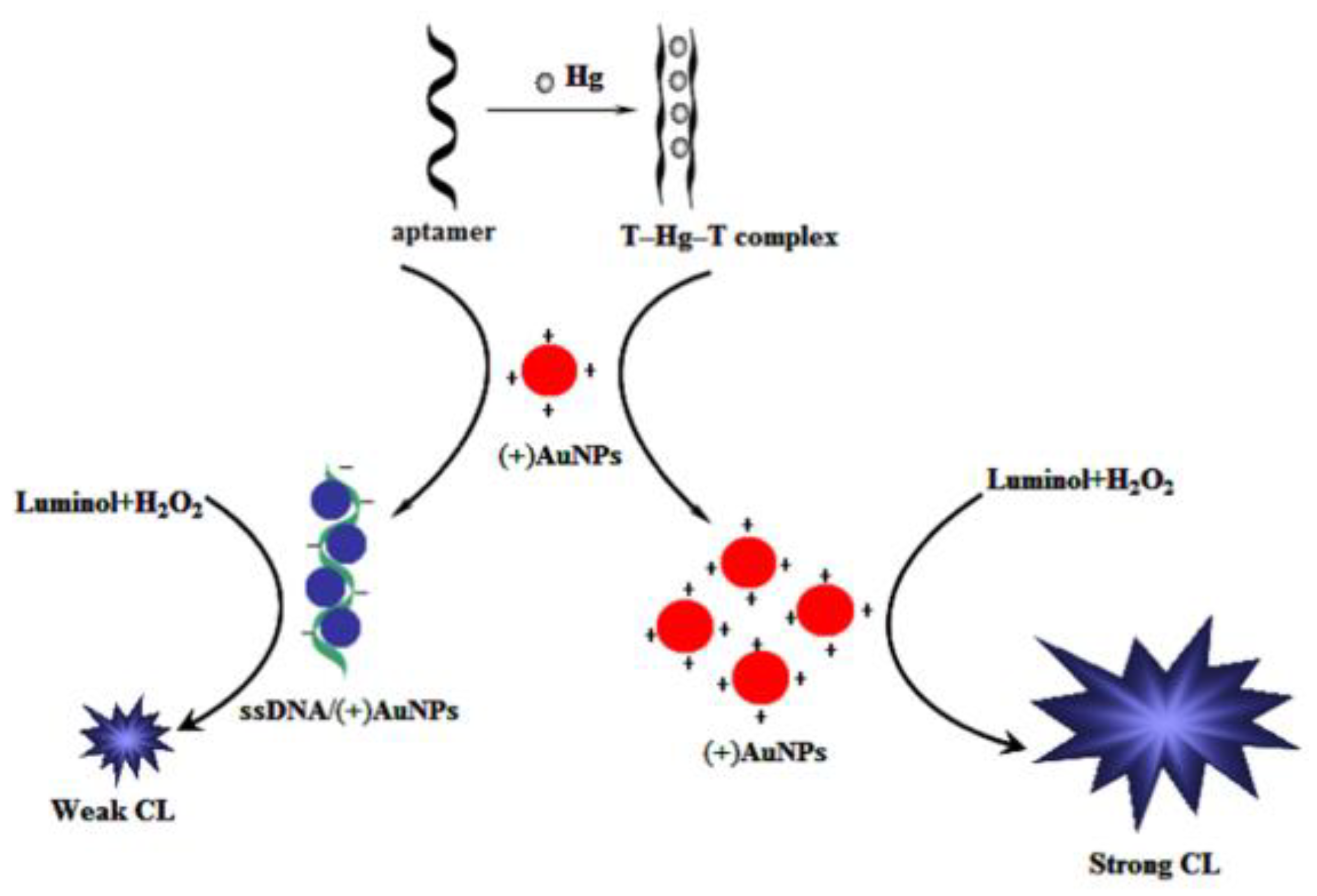 Biosensors 09 00096 g003