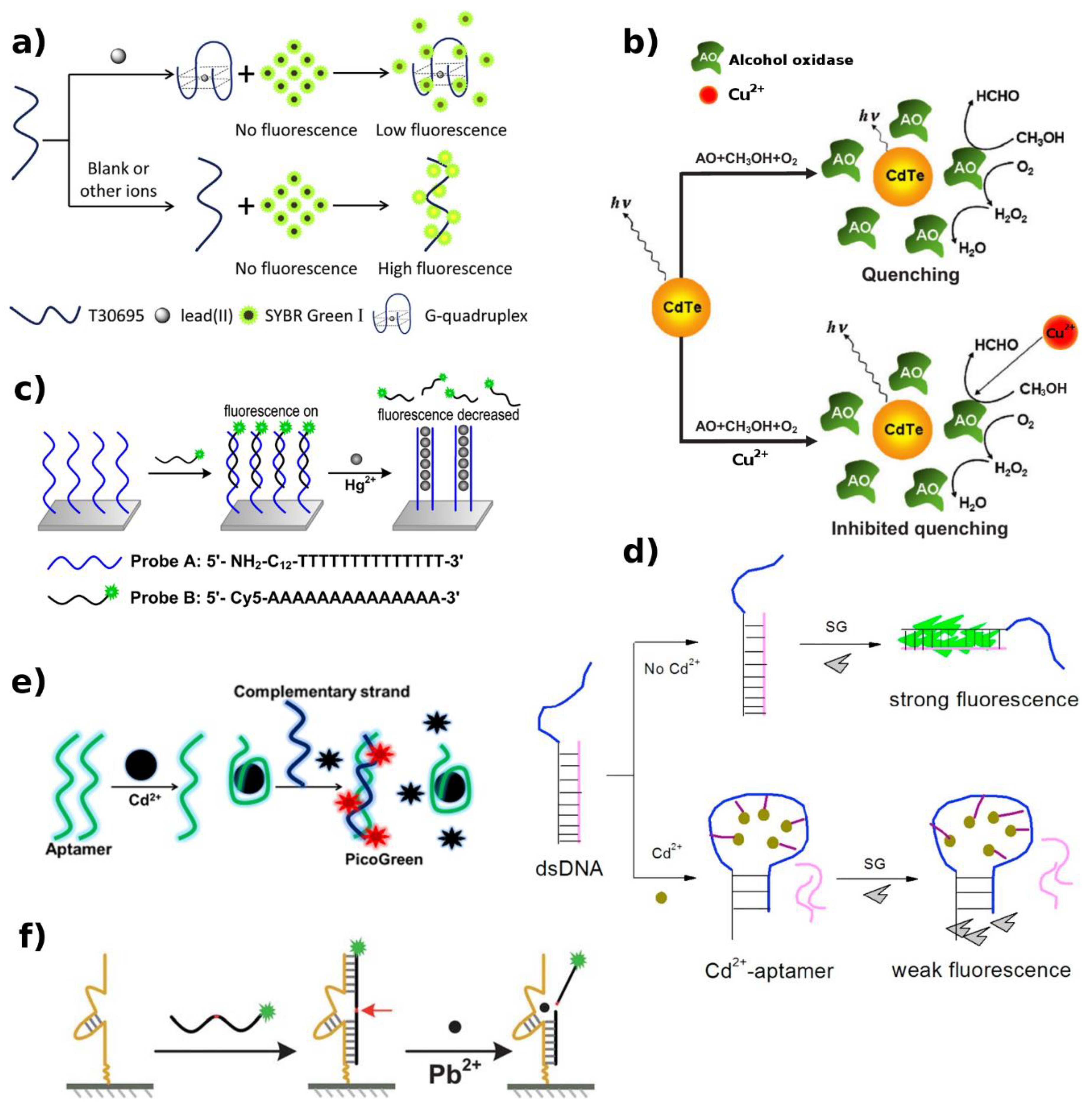 Biosensors 09 00096 g004