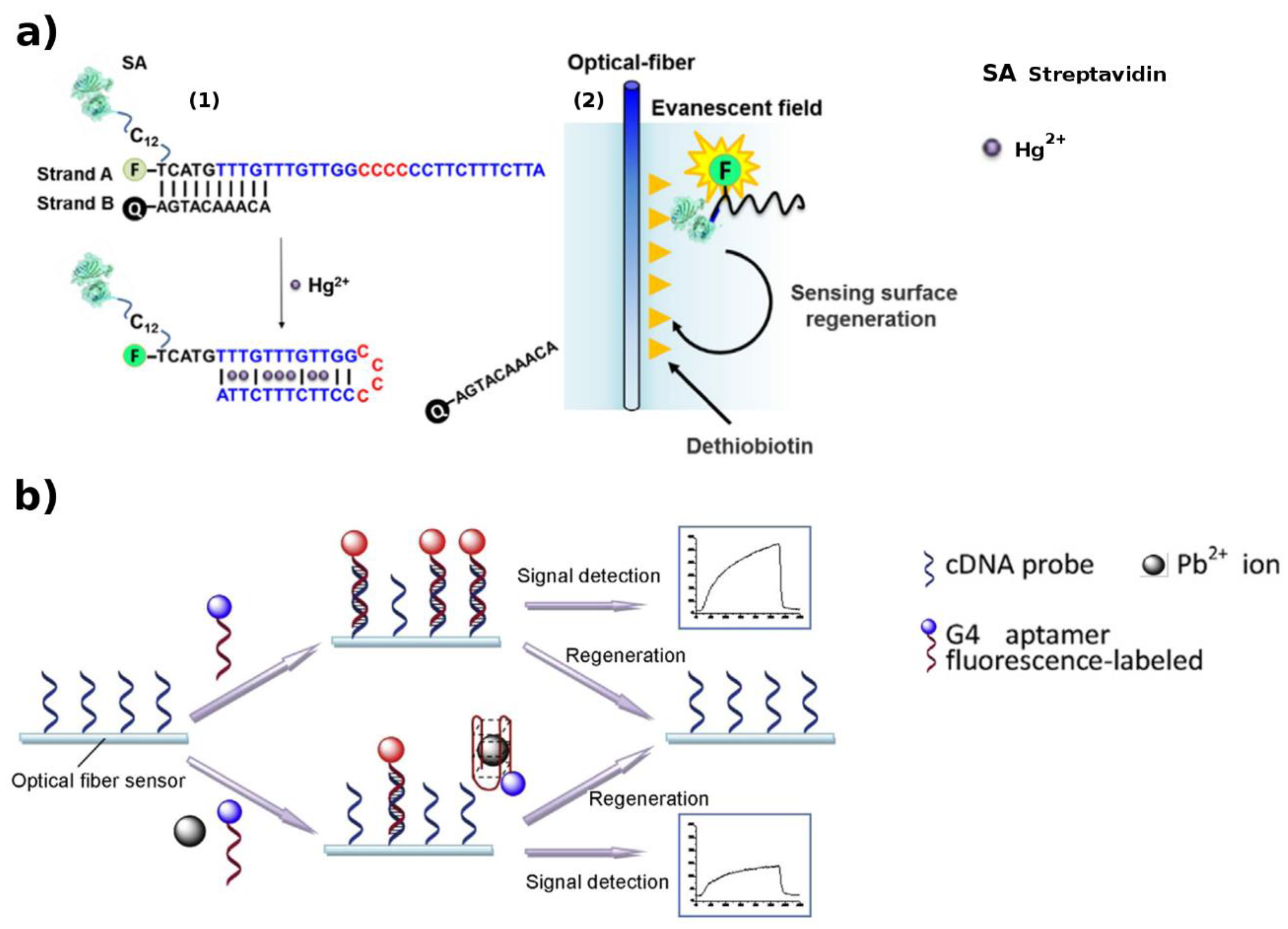 Biosensors 09 00096 g007