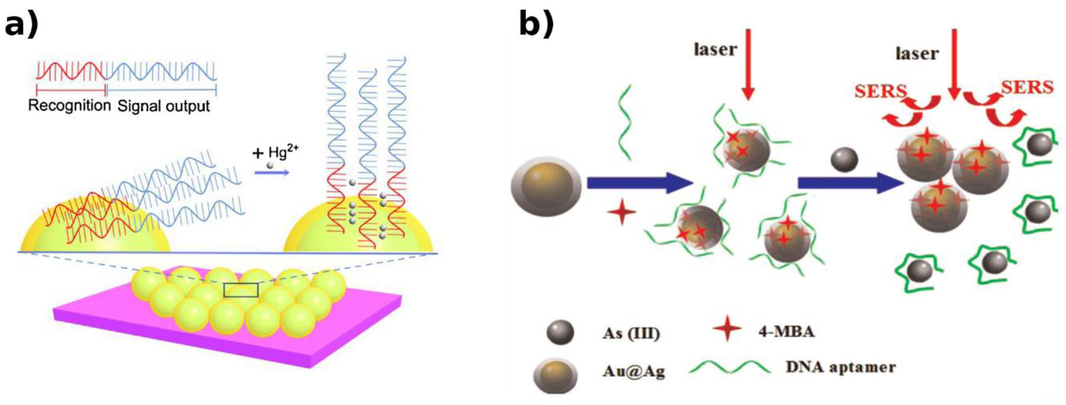 Biosensors 09 00096 g008