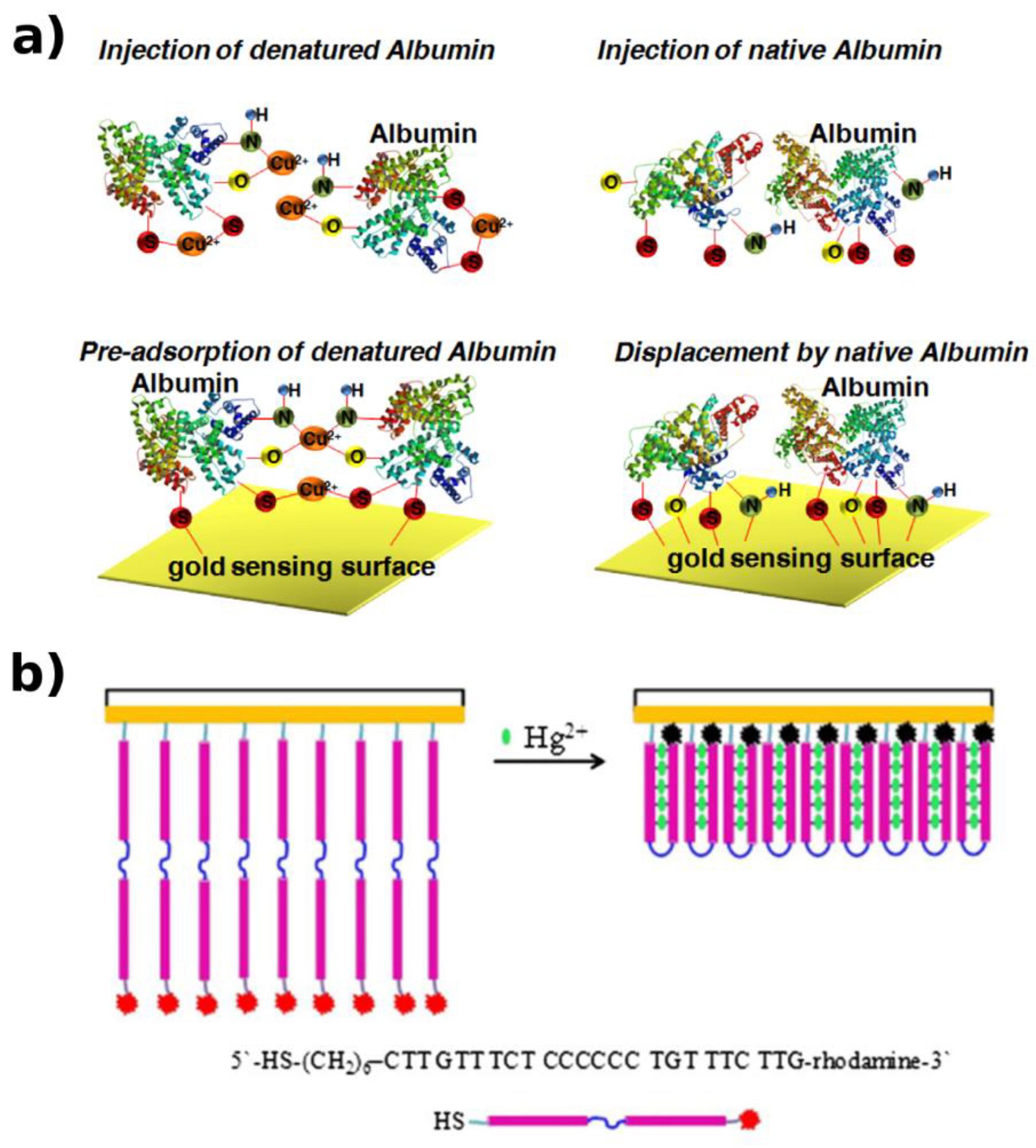 Biosensors 09 00096 g010