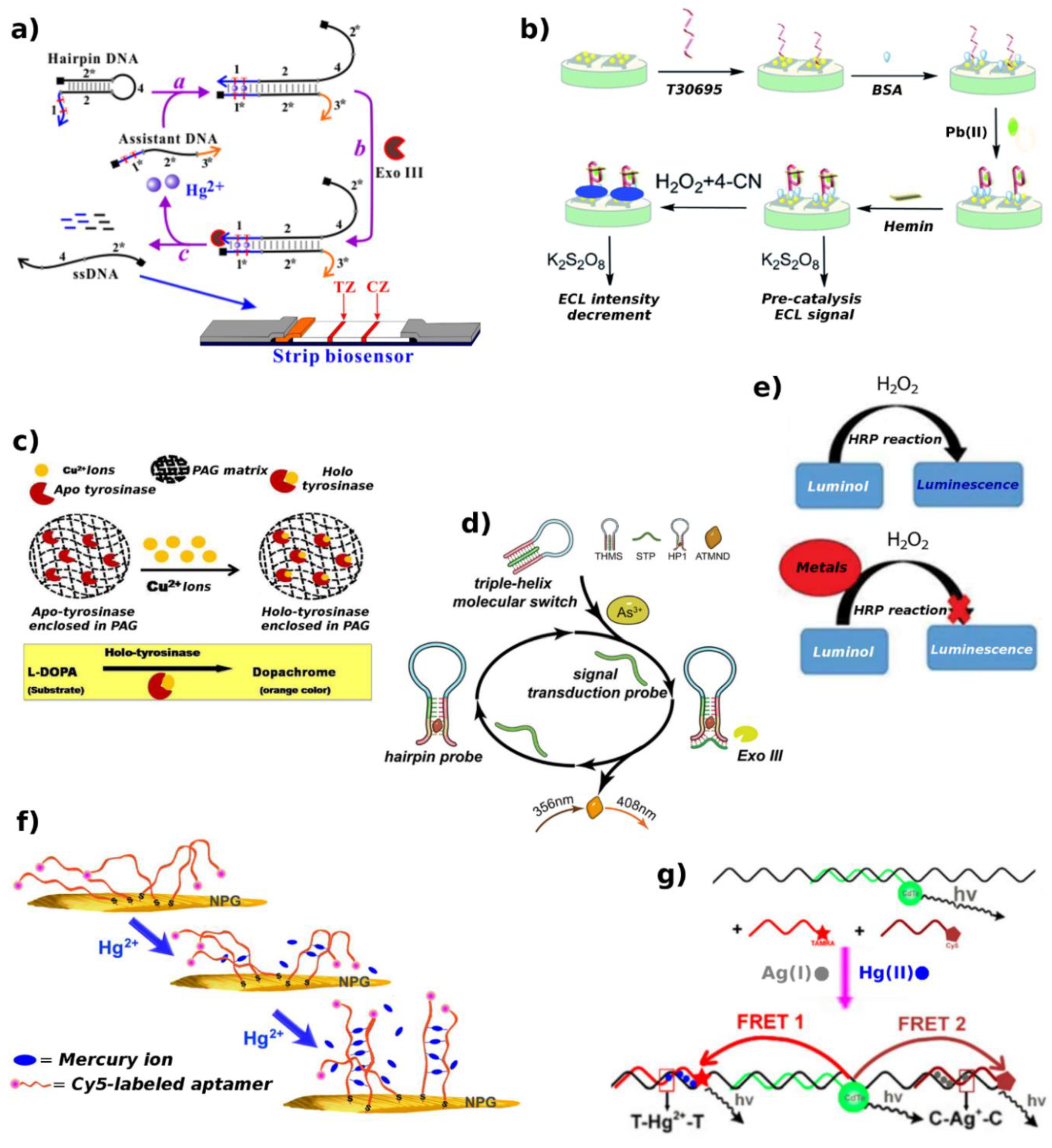 Biosensors 09 00096 g011