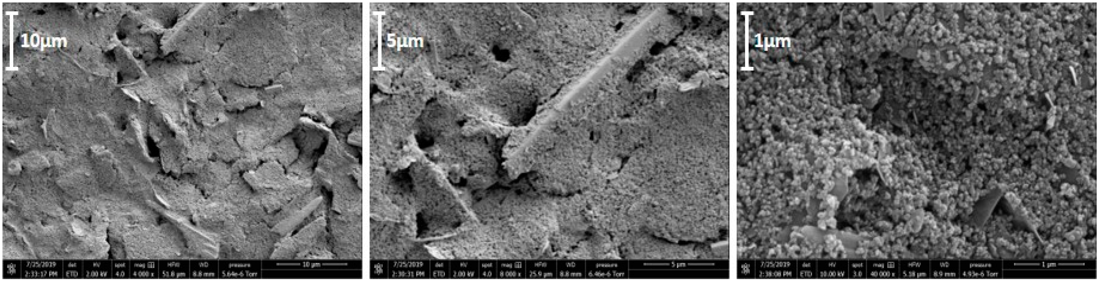 Biosensors 09 00098 g003