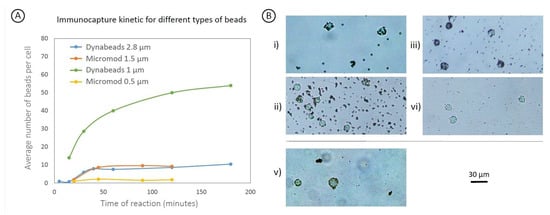 Biosensors 09 00105 g0a1