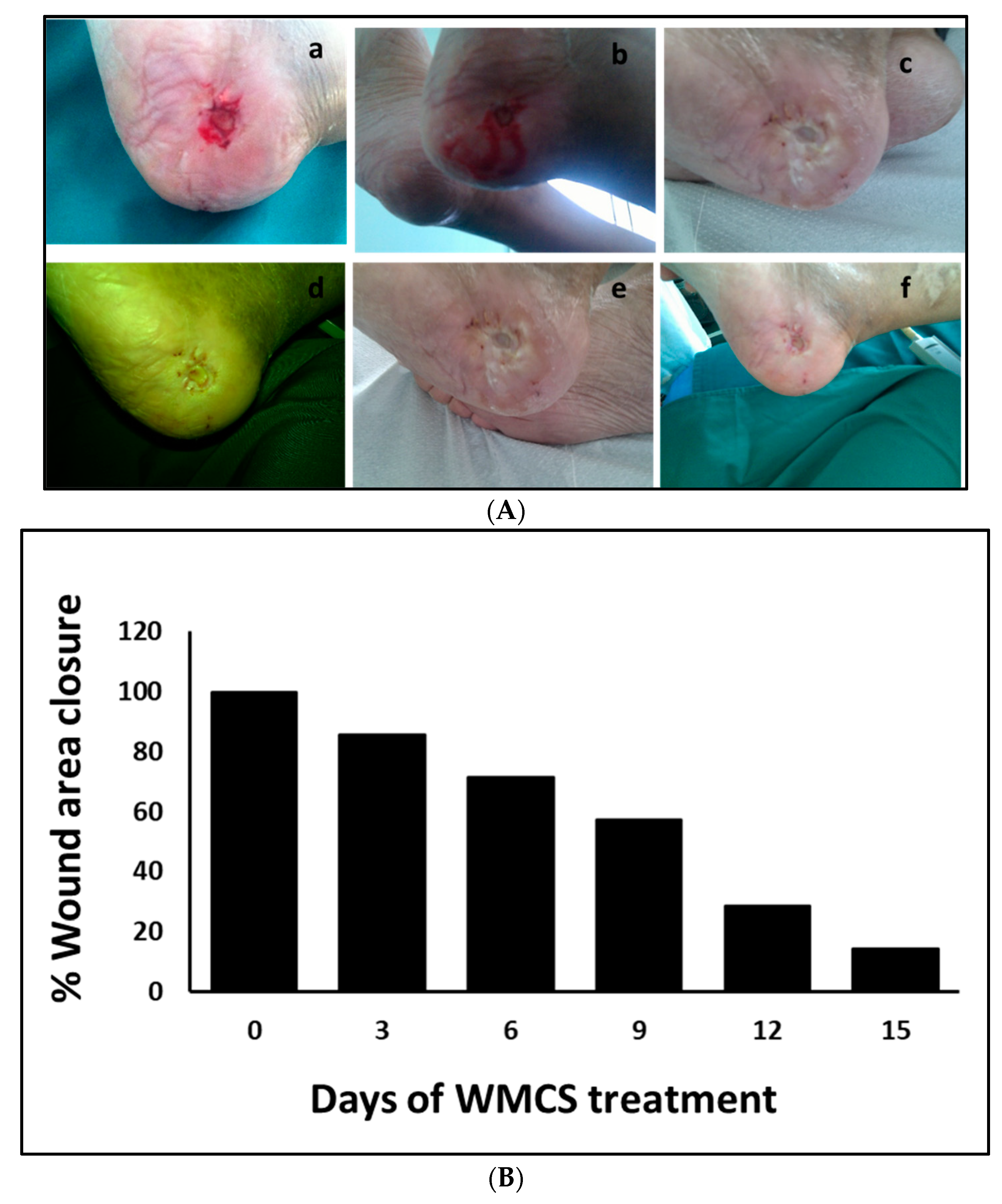 Biosensors 09 00107 g002
