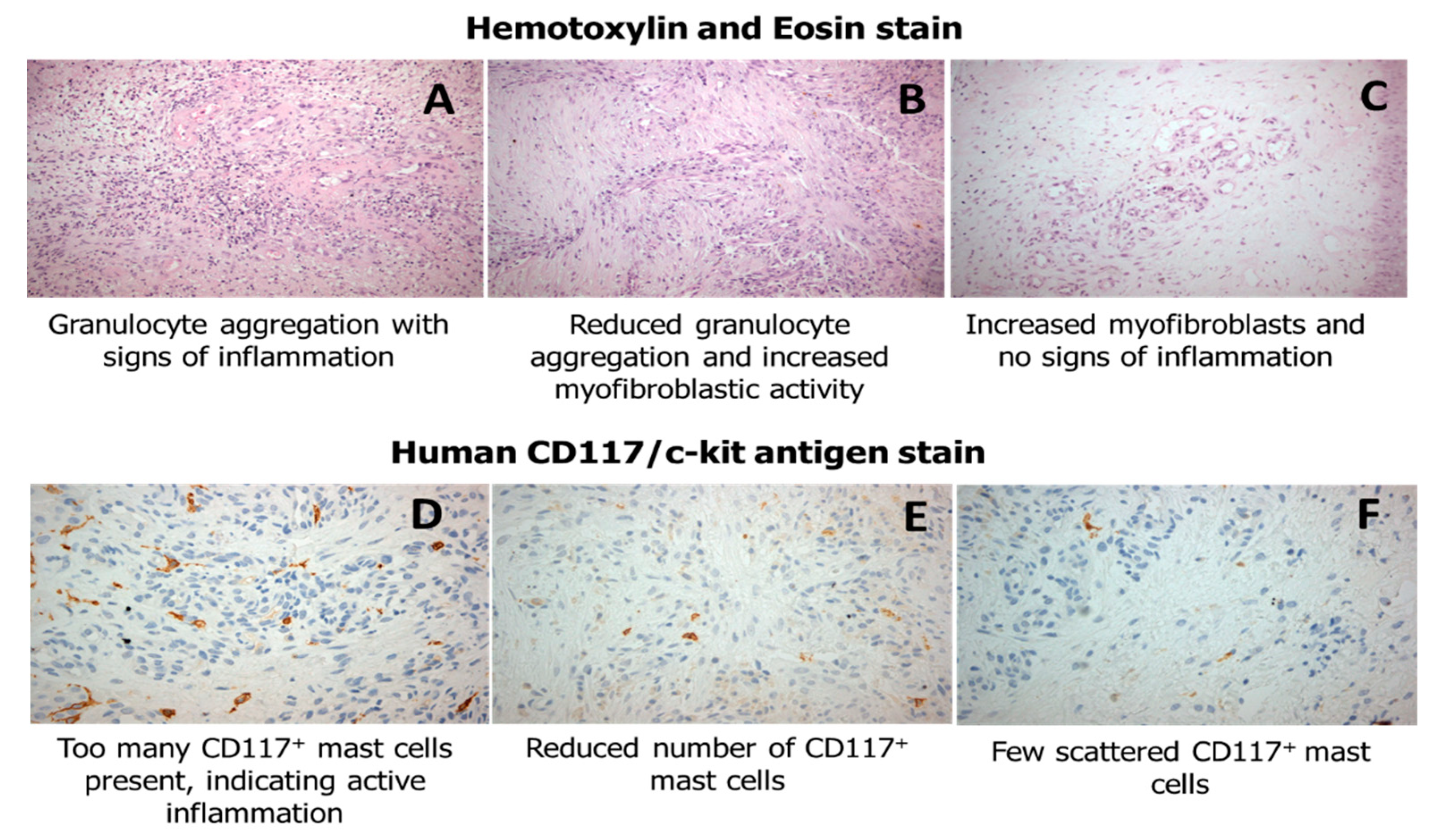 Biosensors 09 00107 g003