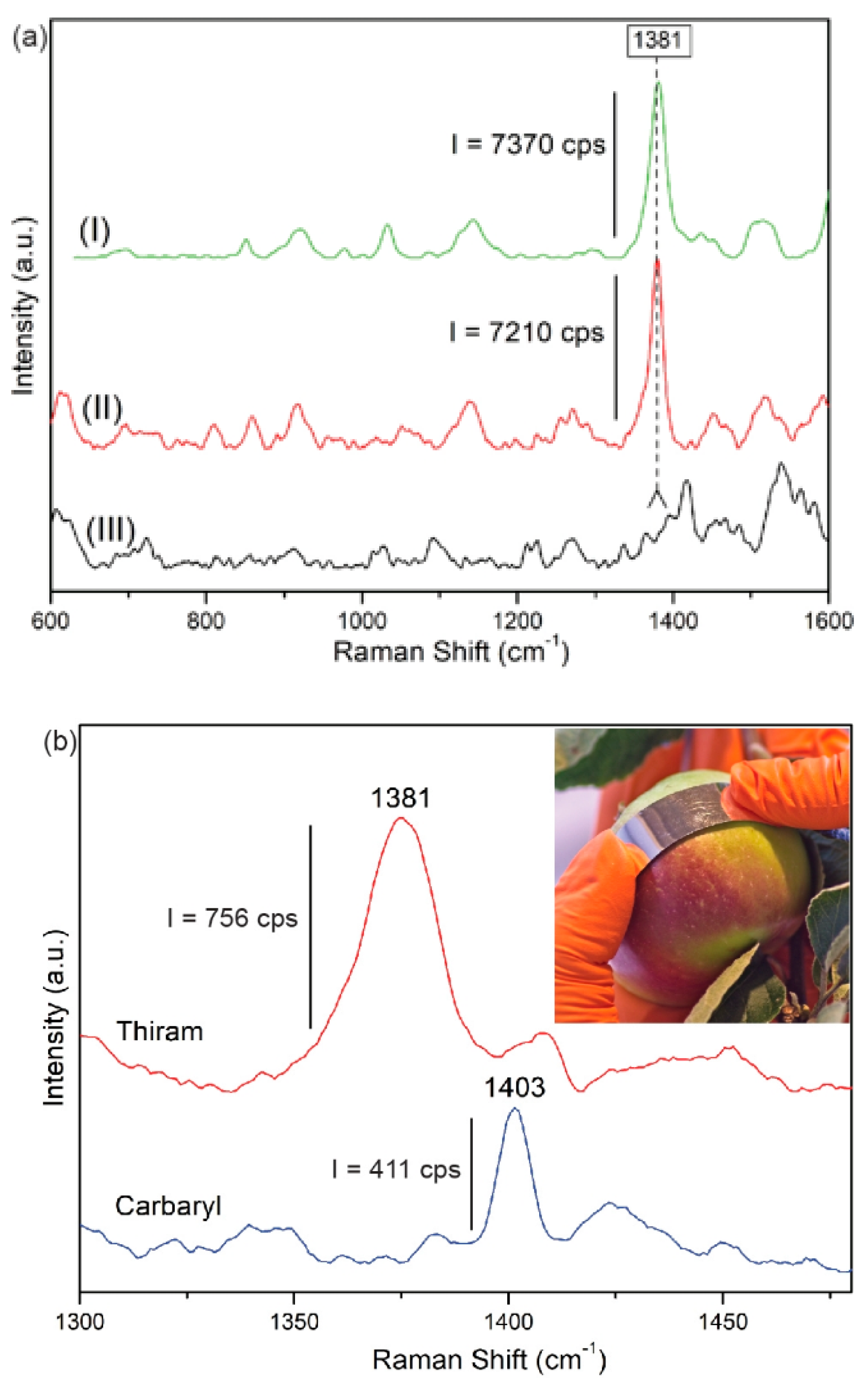 Biosensors 09 00111 g008 Biosensors 09 00111 g008