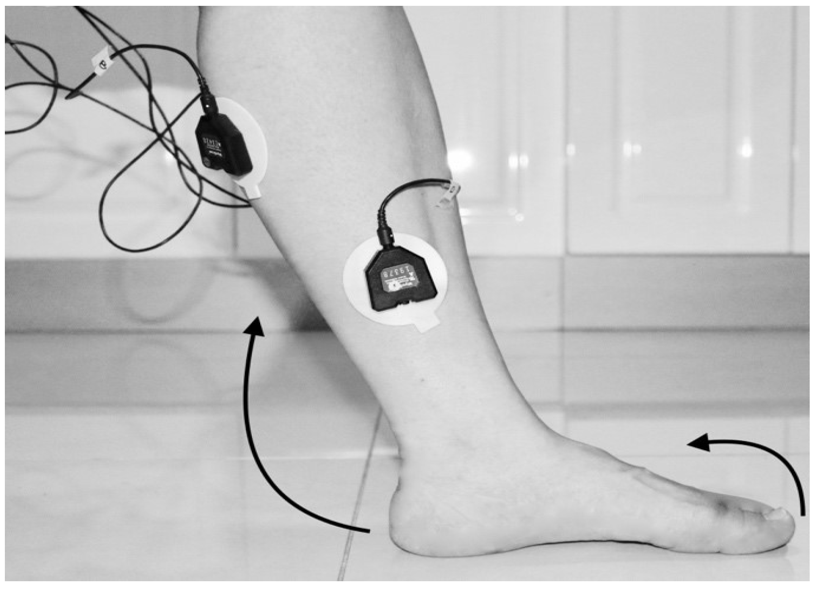 Biosensors 09 00114 g004