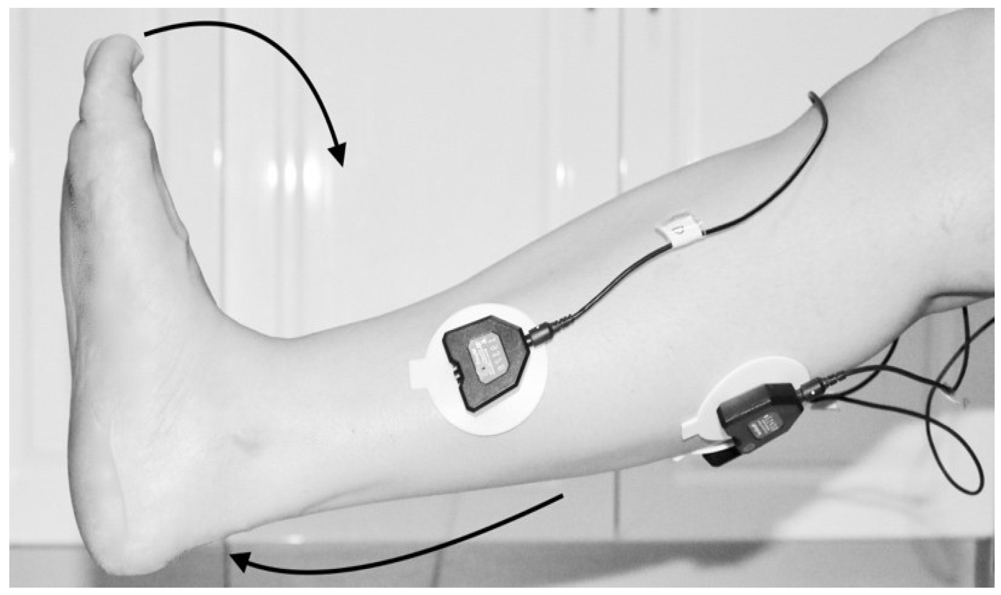 Biosensors 09 00114 g005