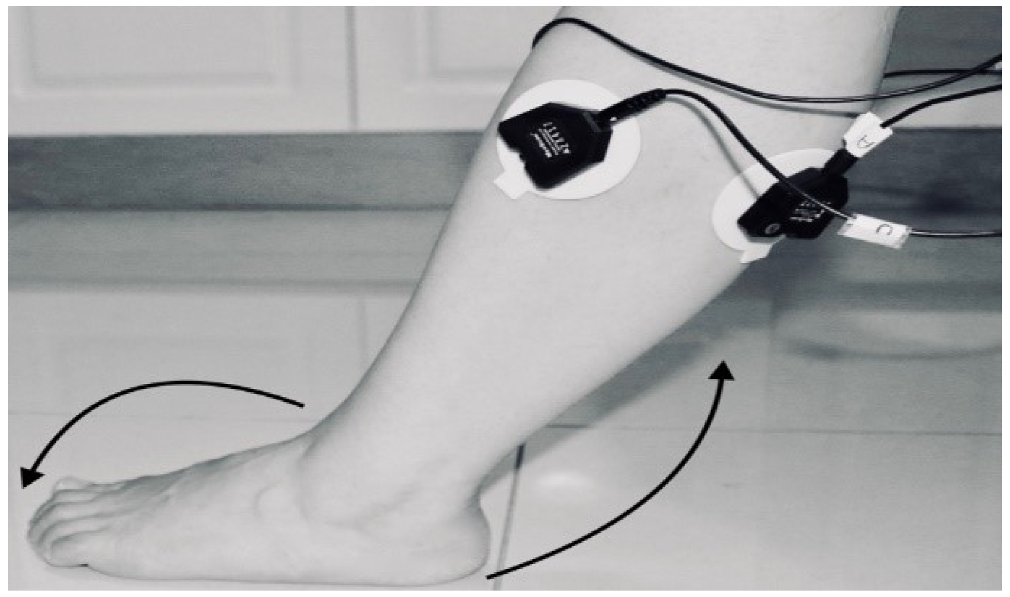 Biosensors 09 00114 g008