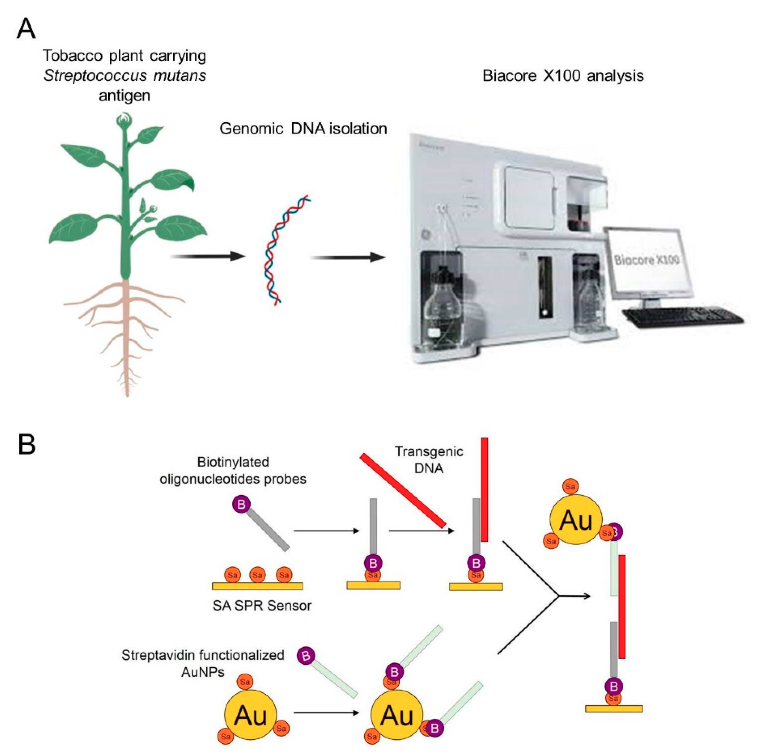 Biosensors 09 00116 g001