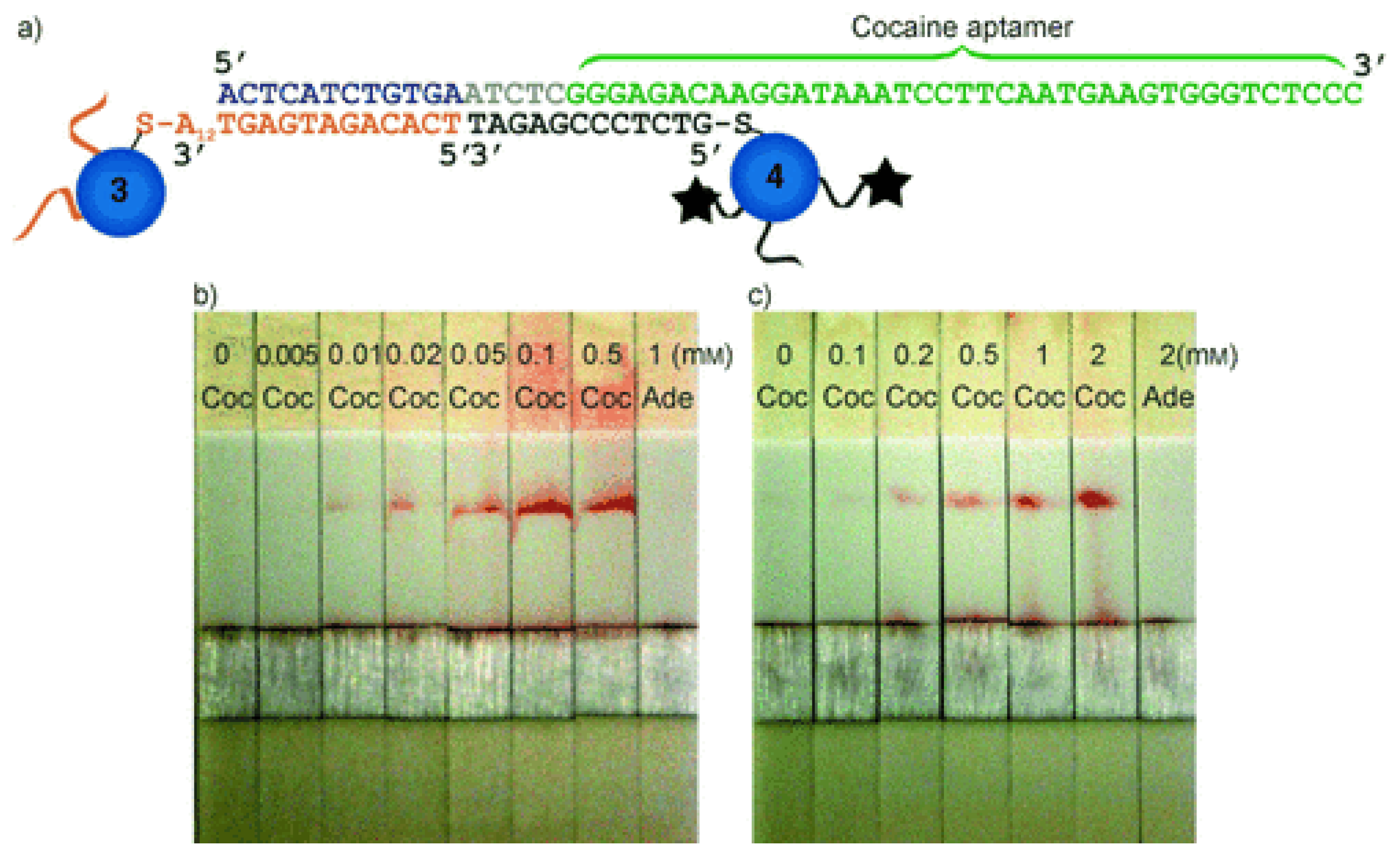 Biosensors 09 00118 g004