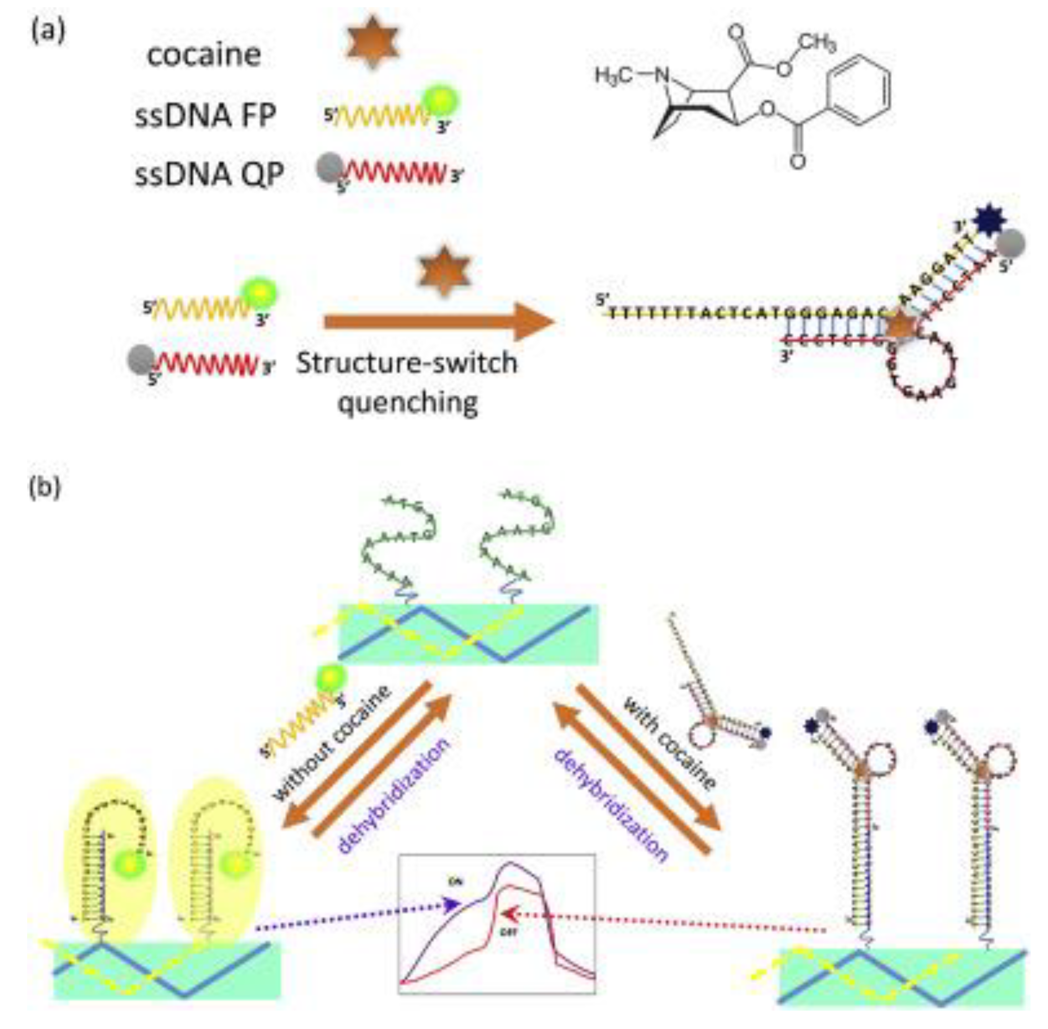 Biosensors 09 00118 g005
