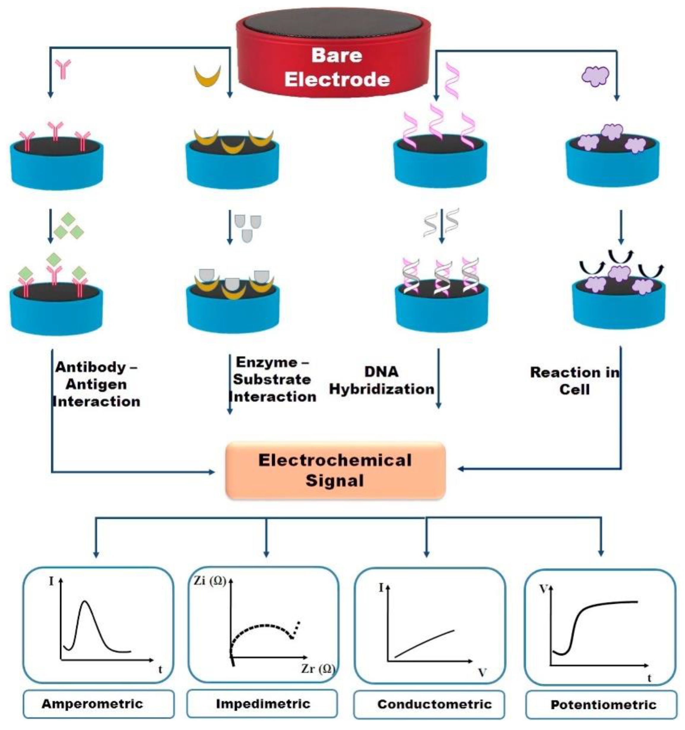 Biosensors 09 00118 g007