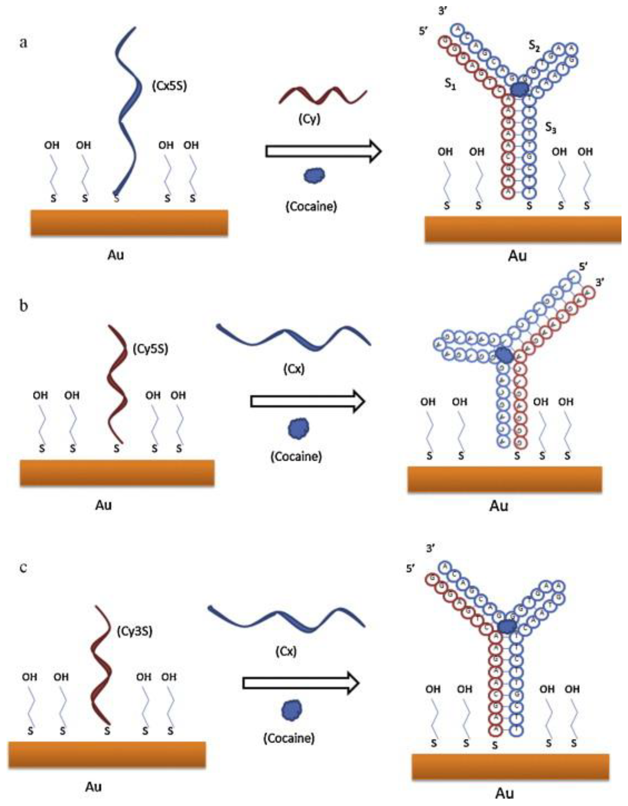 Biosensors 09 00118 g008