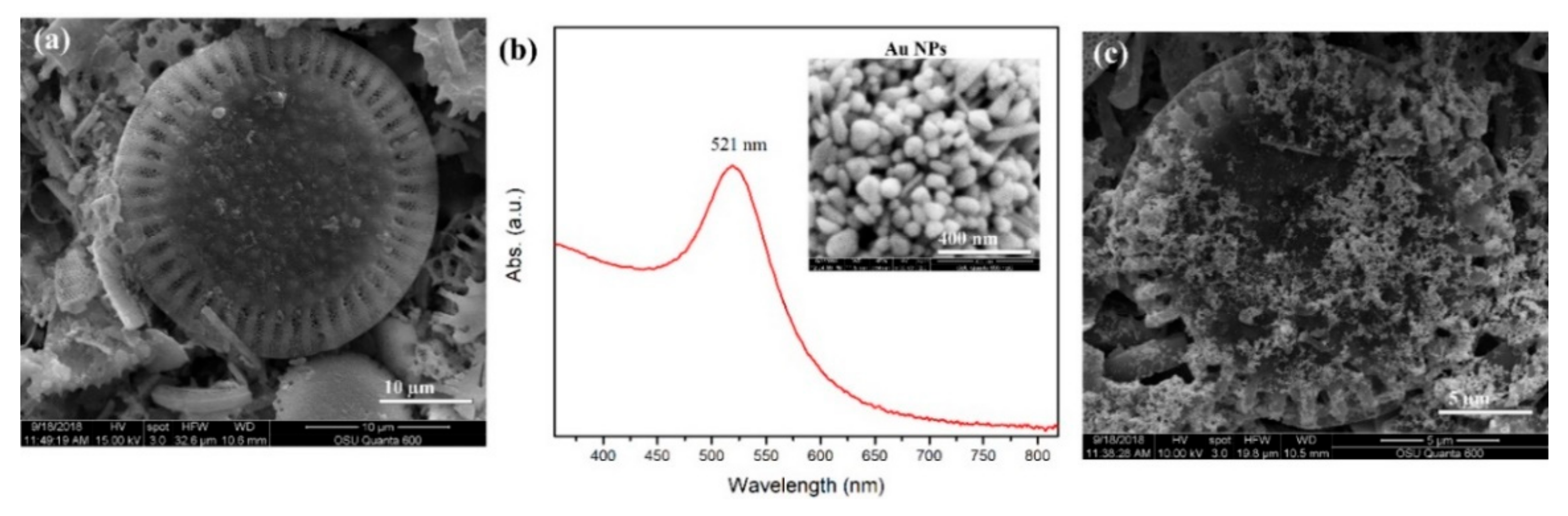 Biosensors 09 00125 g002