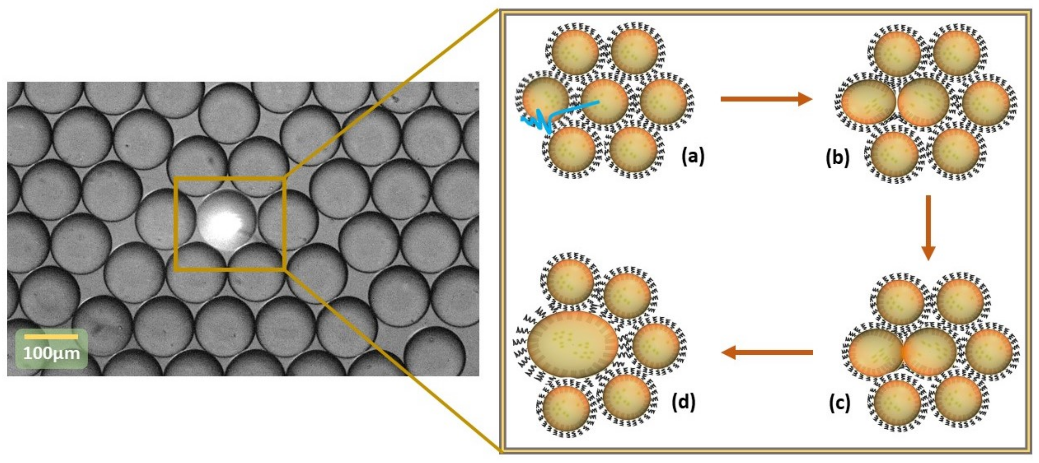 Biosensors 09 00129 g001 Biosensors 09 00129 g001