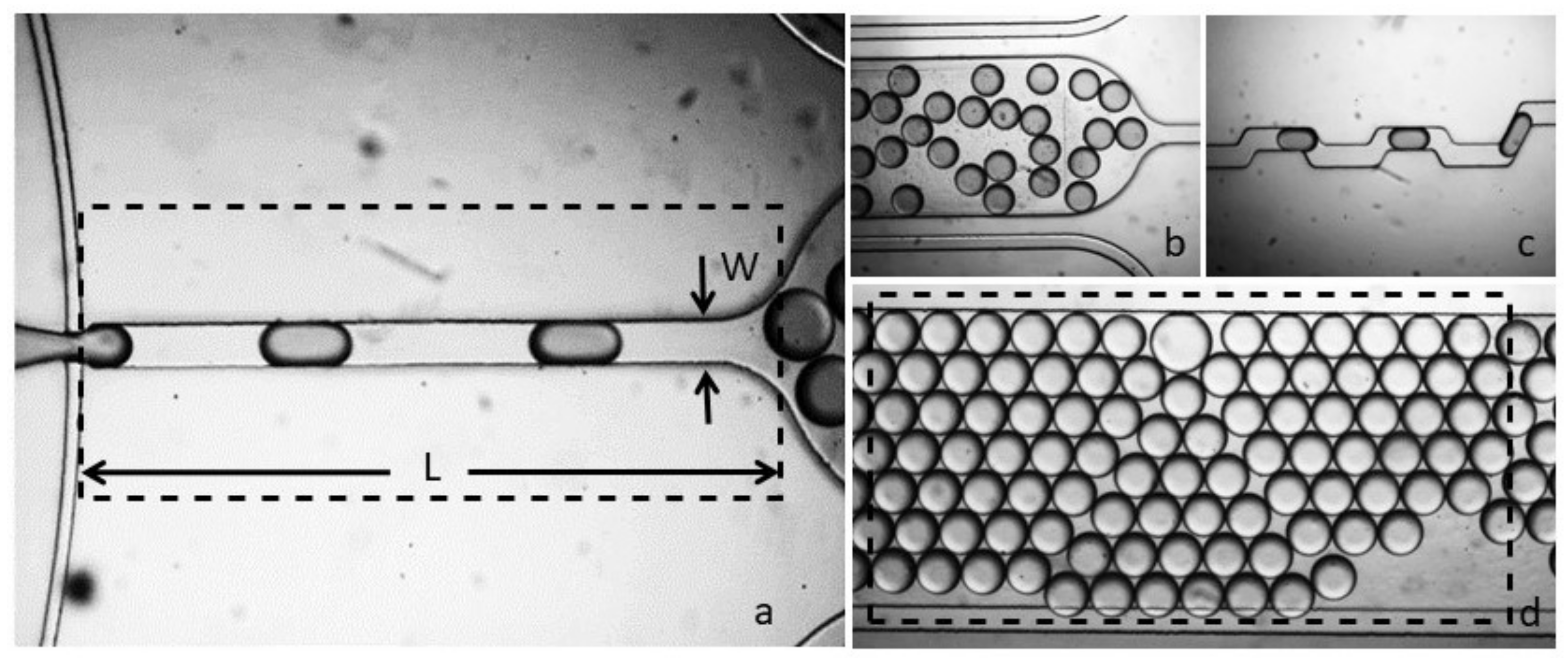 Biosensors 09 00129 g004 Biosensors 09 00129 g004