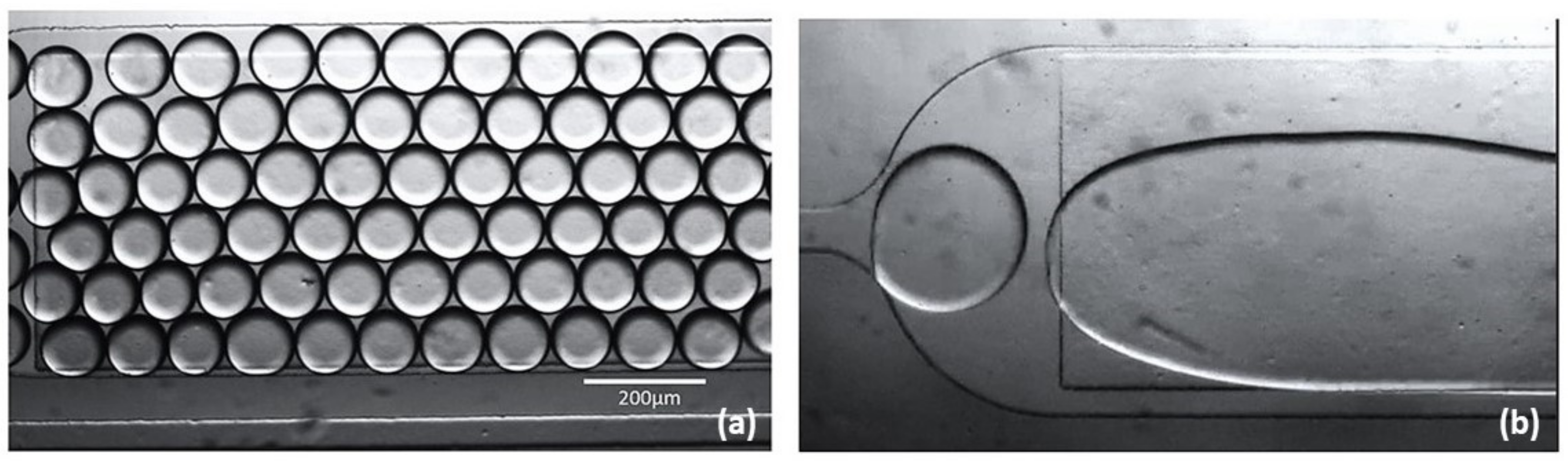 Biosensors 09 00129 g006 Biosensors 09 00129 g006