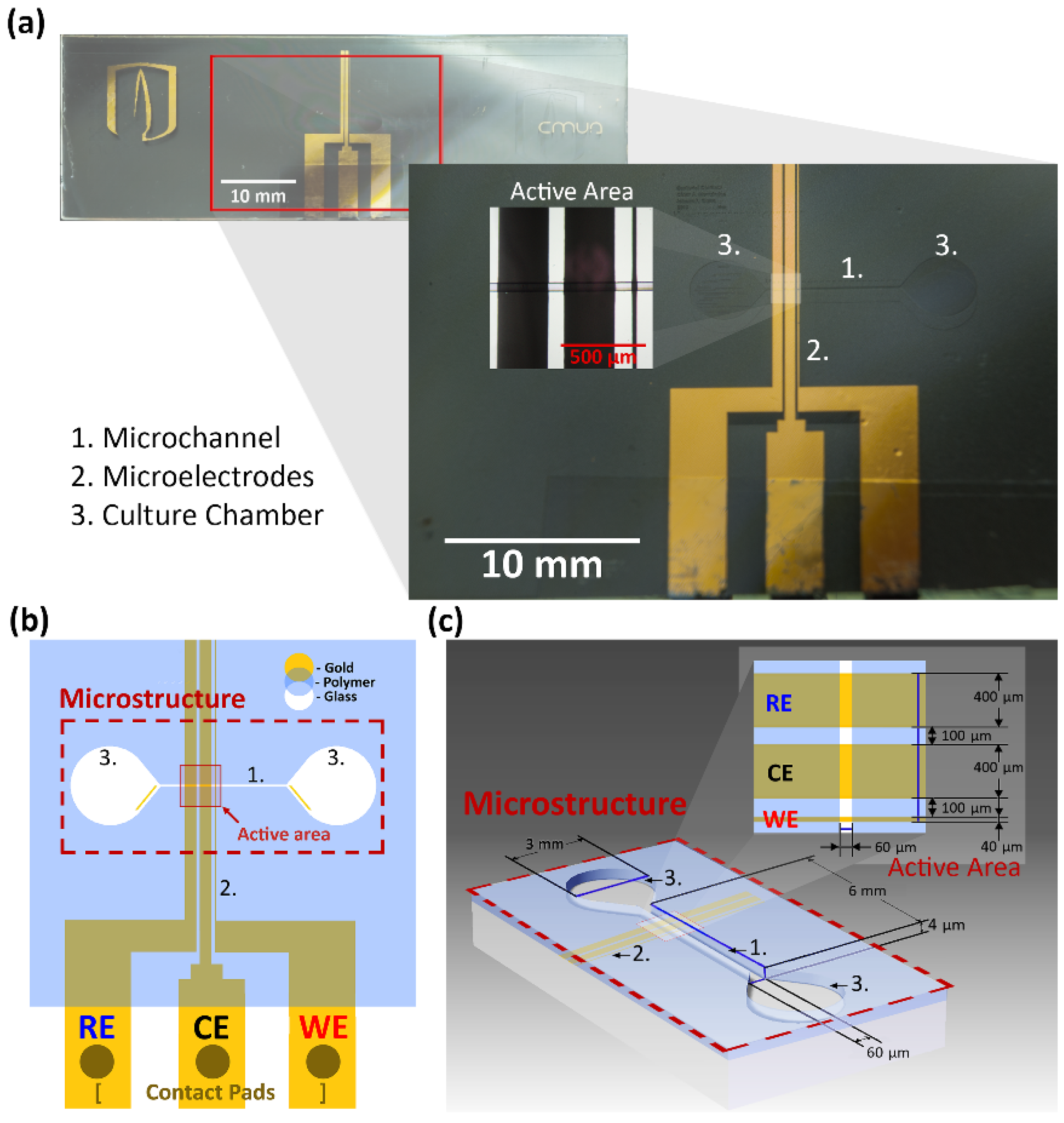 Biosensors 09 00131 g001