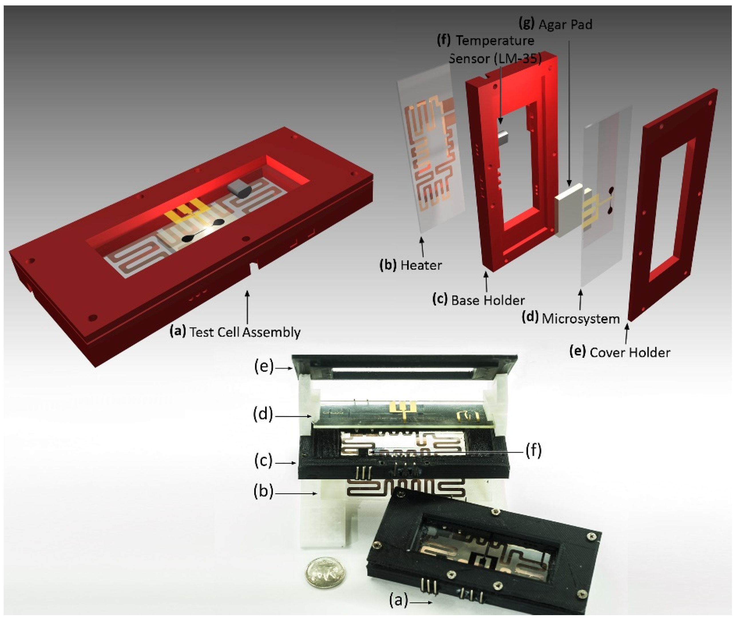 Biosensors 09 00131 g002