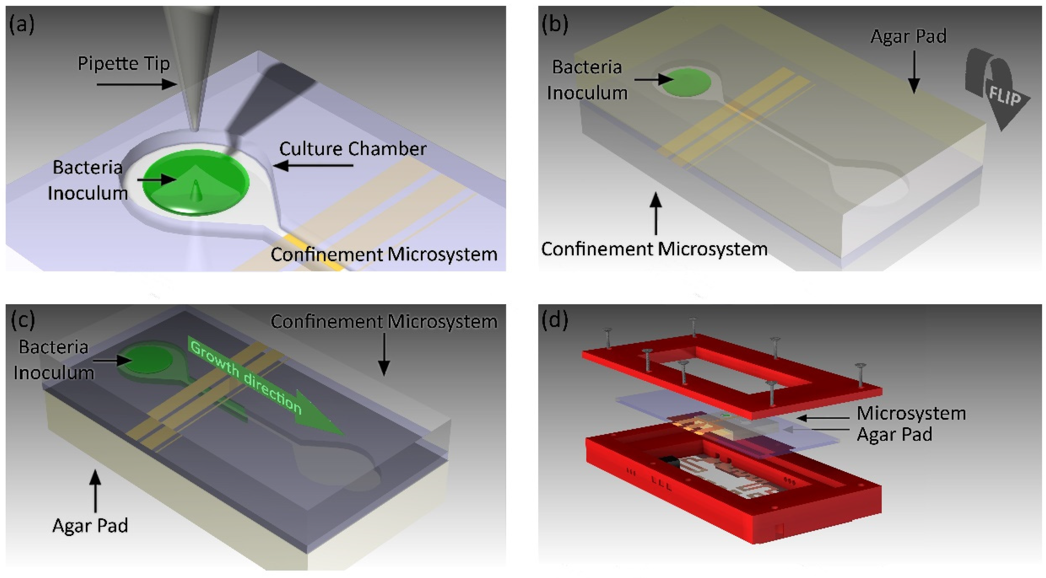 Biosensors 09 00131 g003
