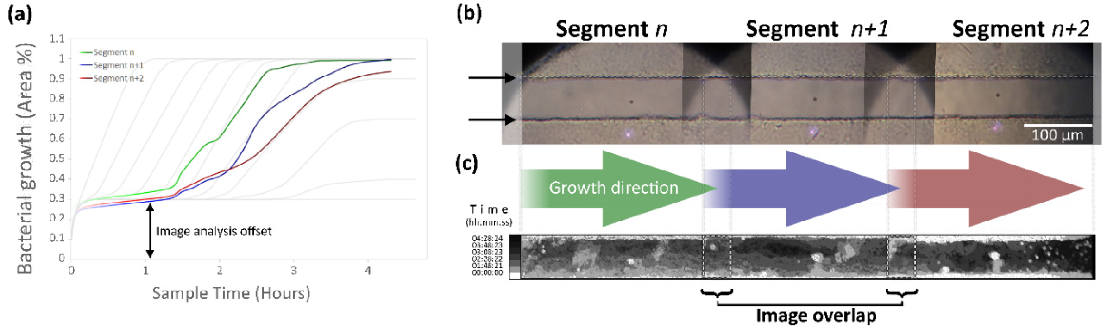 Biosensors 09 00131 g007