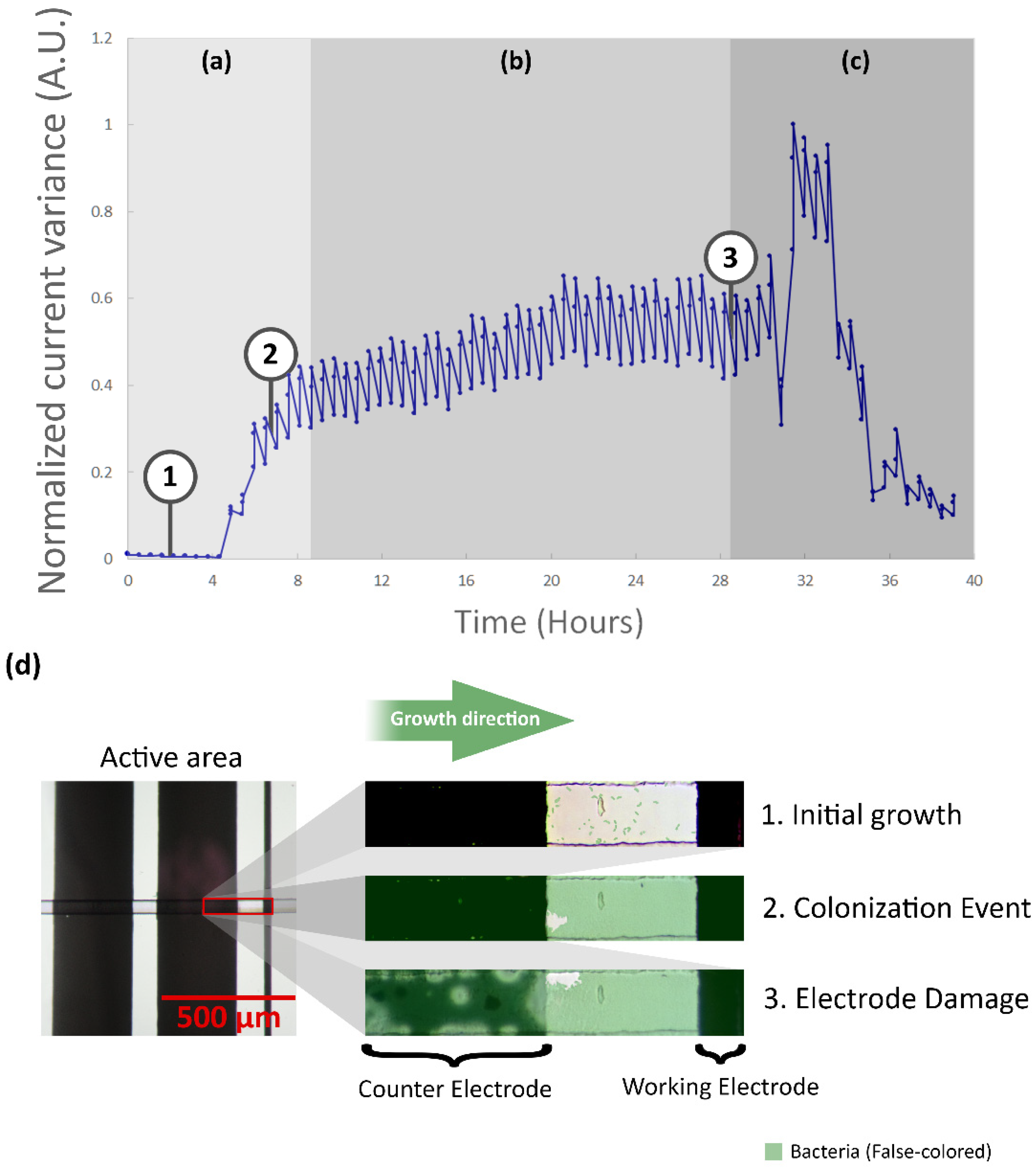 Biosensors 09 00131 g010