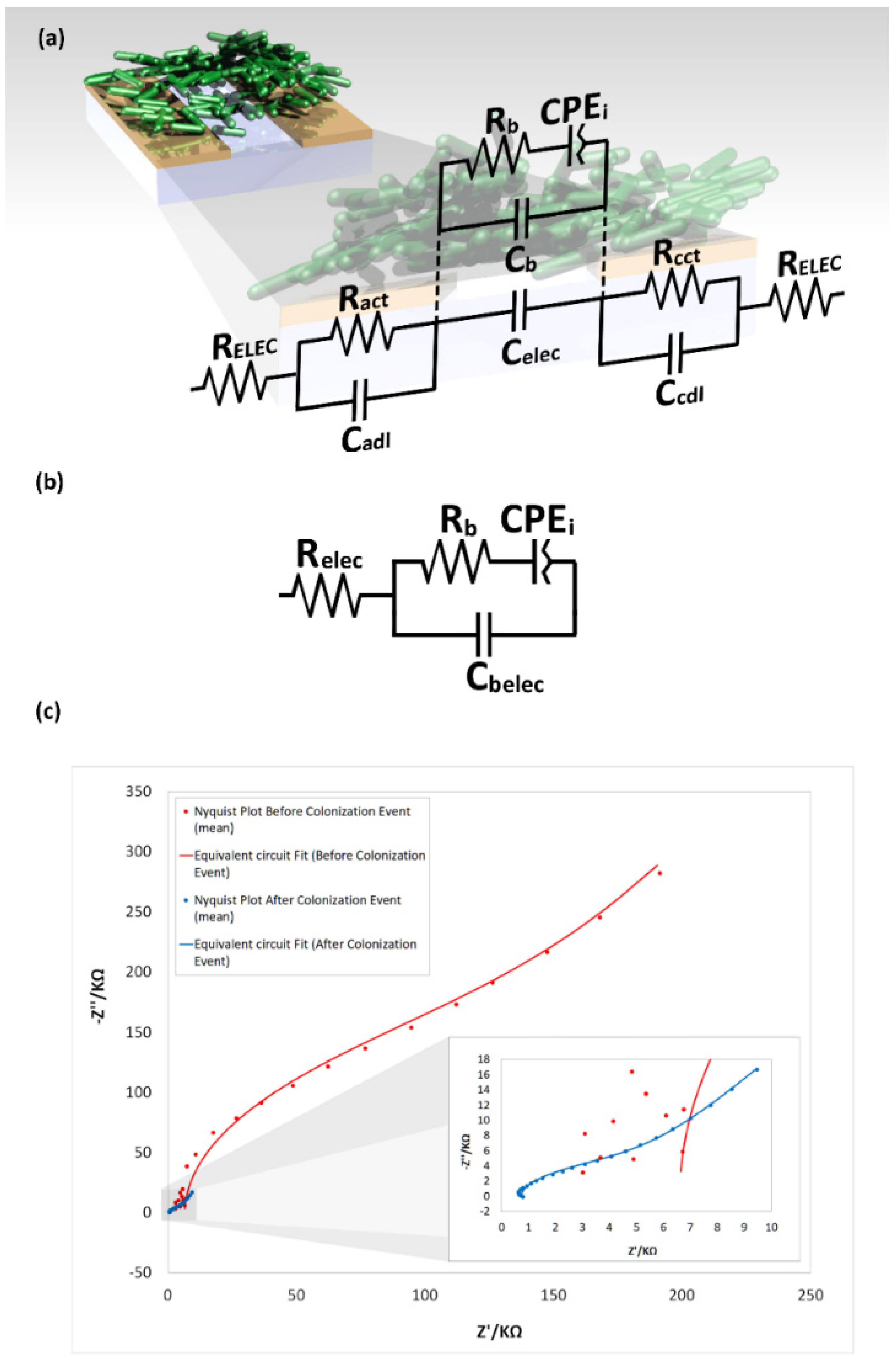 Biosensors 09 00131 g014
