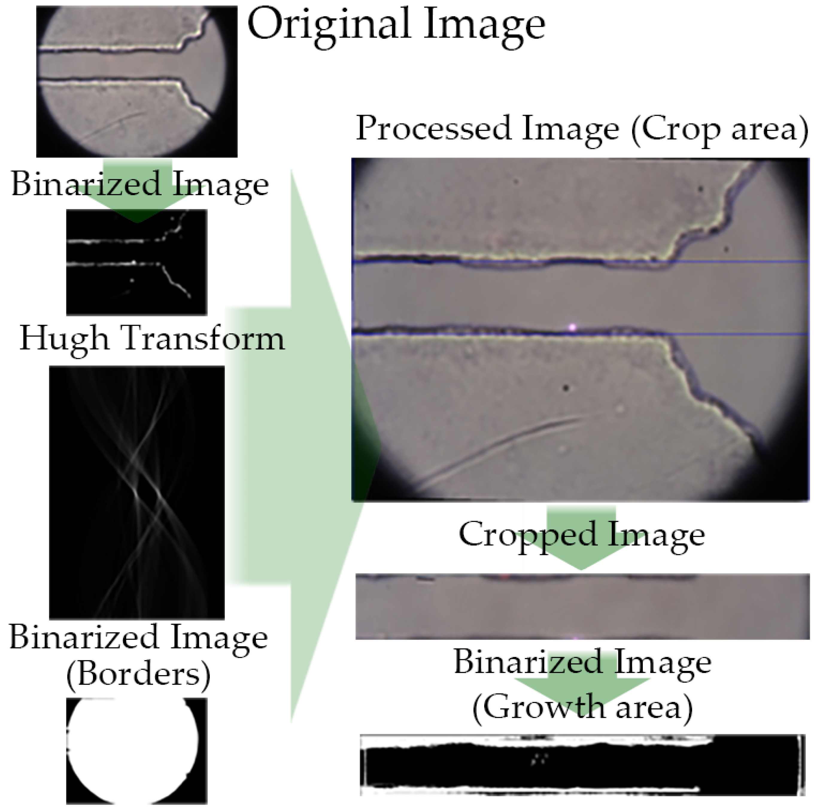 Biosensors 09 00131 g0a1