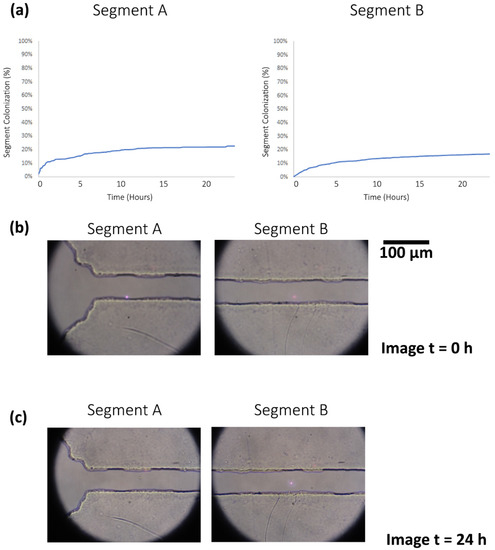 Biosensors 09 00131 g0a2