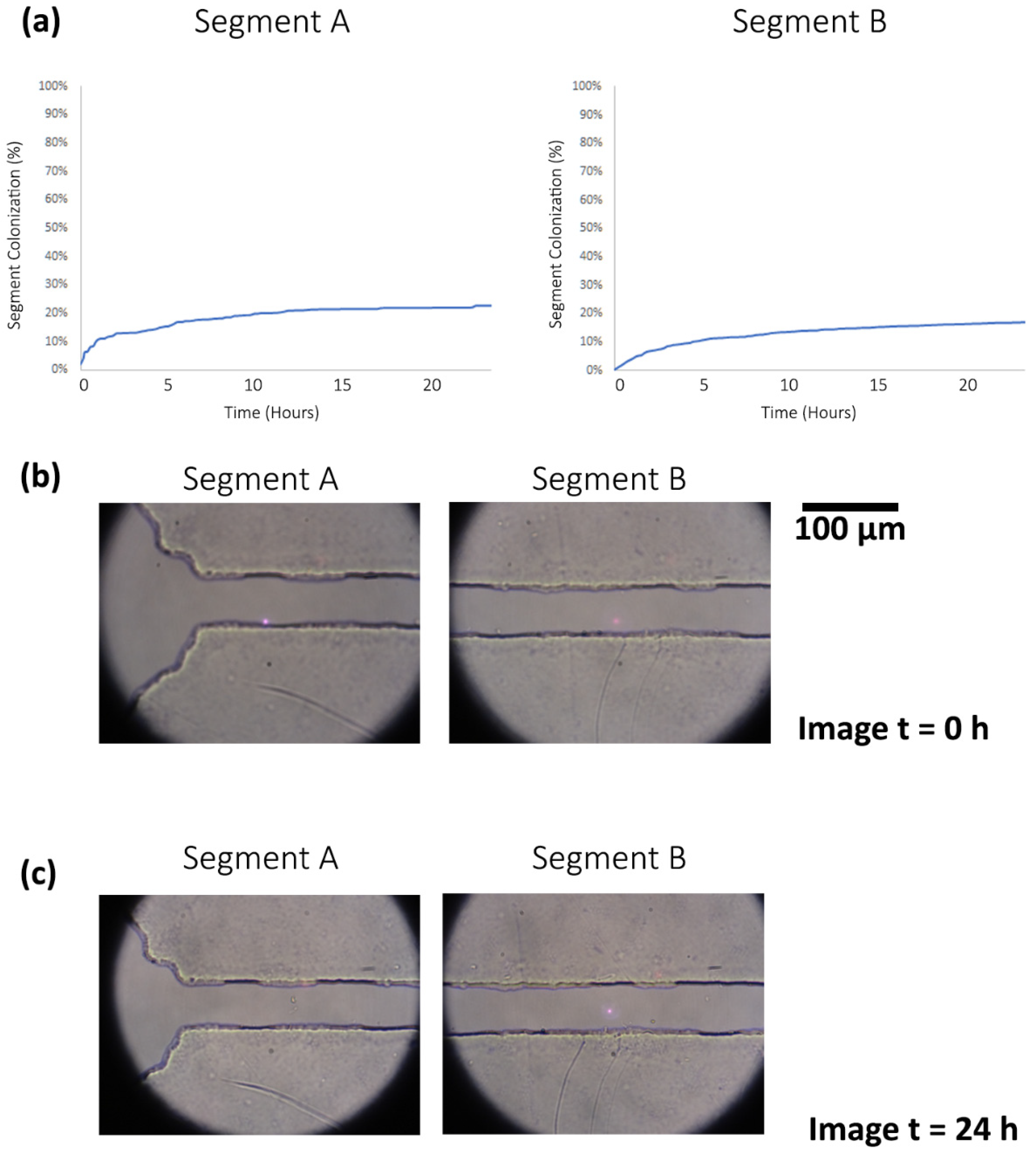 Biosensors 09 00131 g0a2