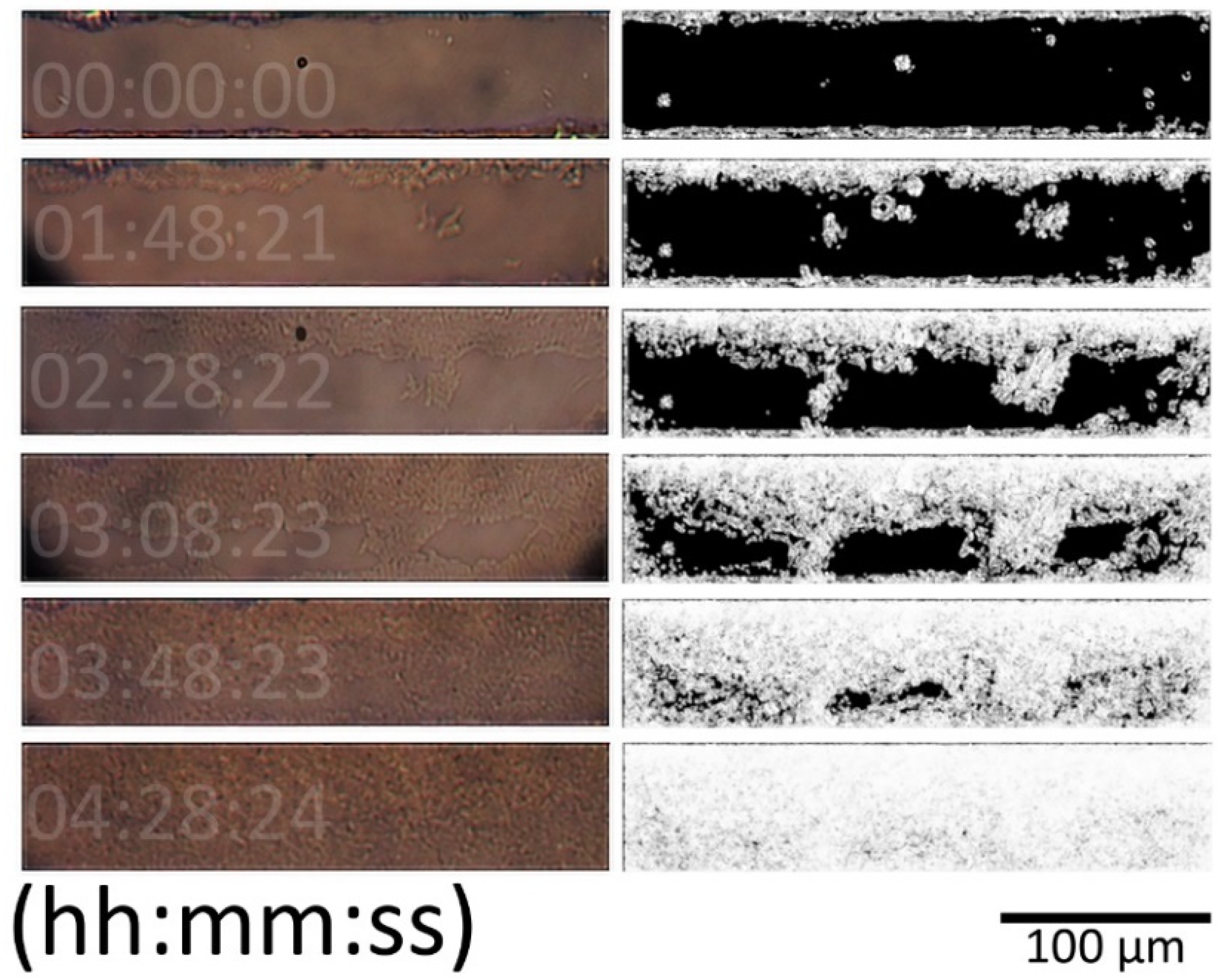 Biosensors 09 00131 g0a3