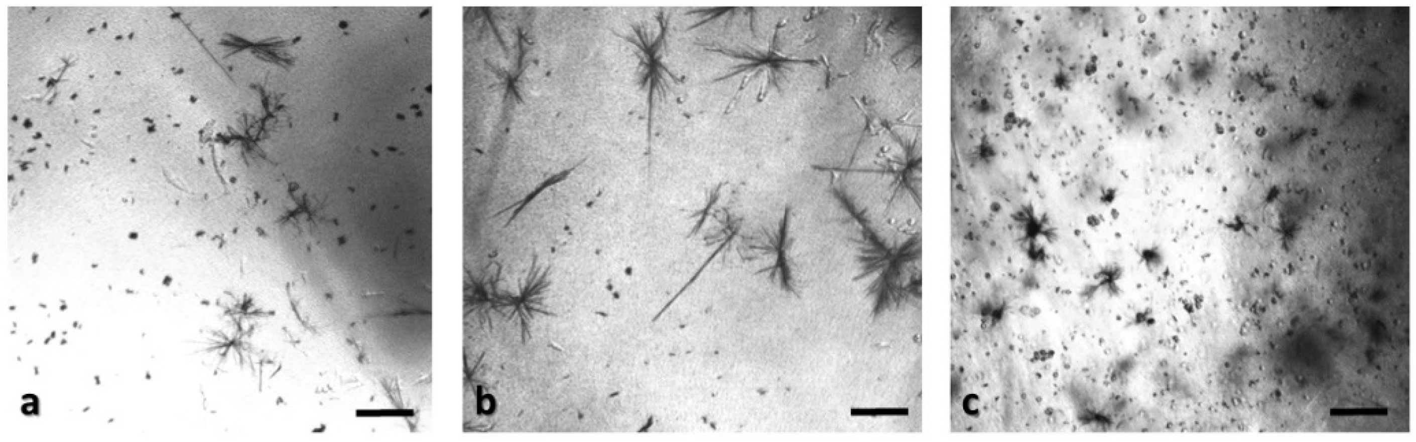 Biosensors 09 00136 g002