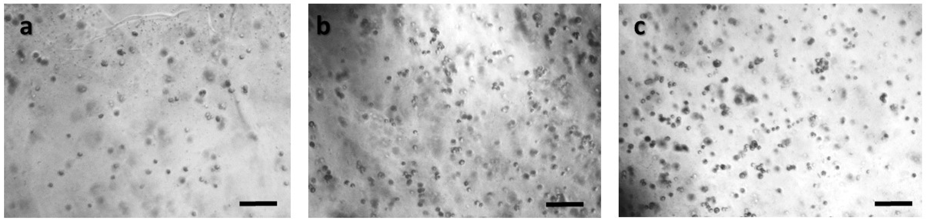 Biosensors 09 00136 g004